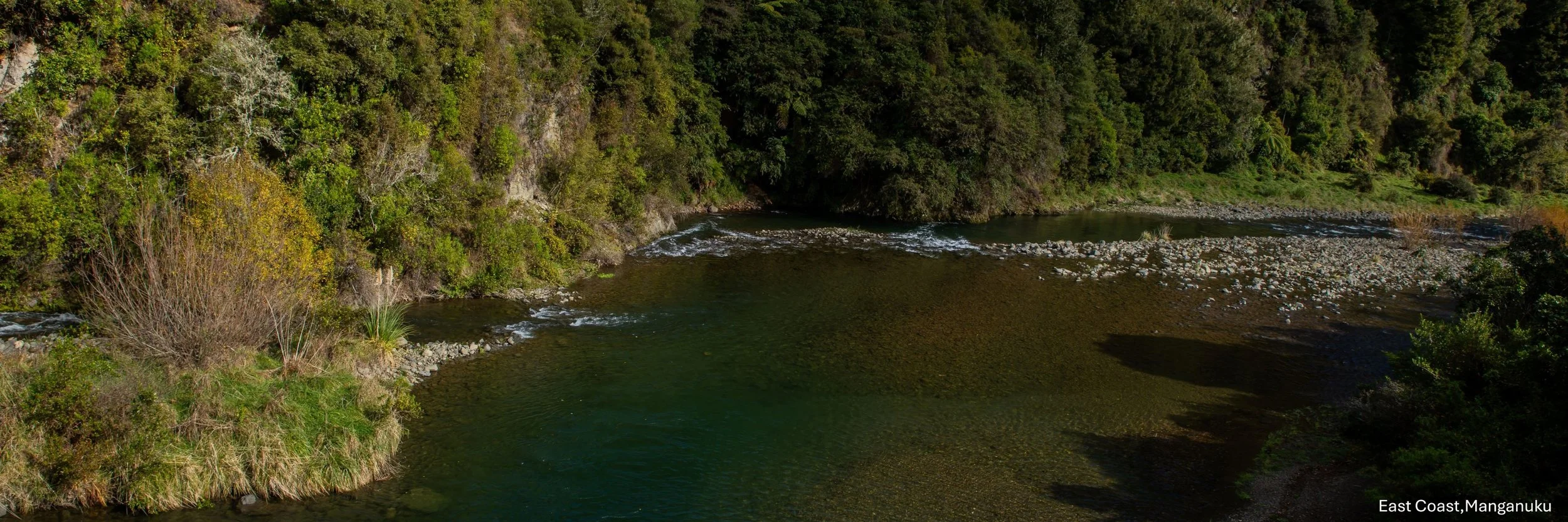 East Coast,Manganuku,-8857.jpg