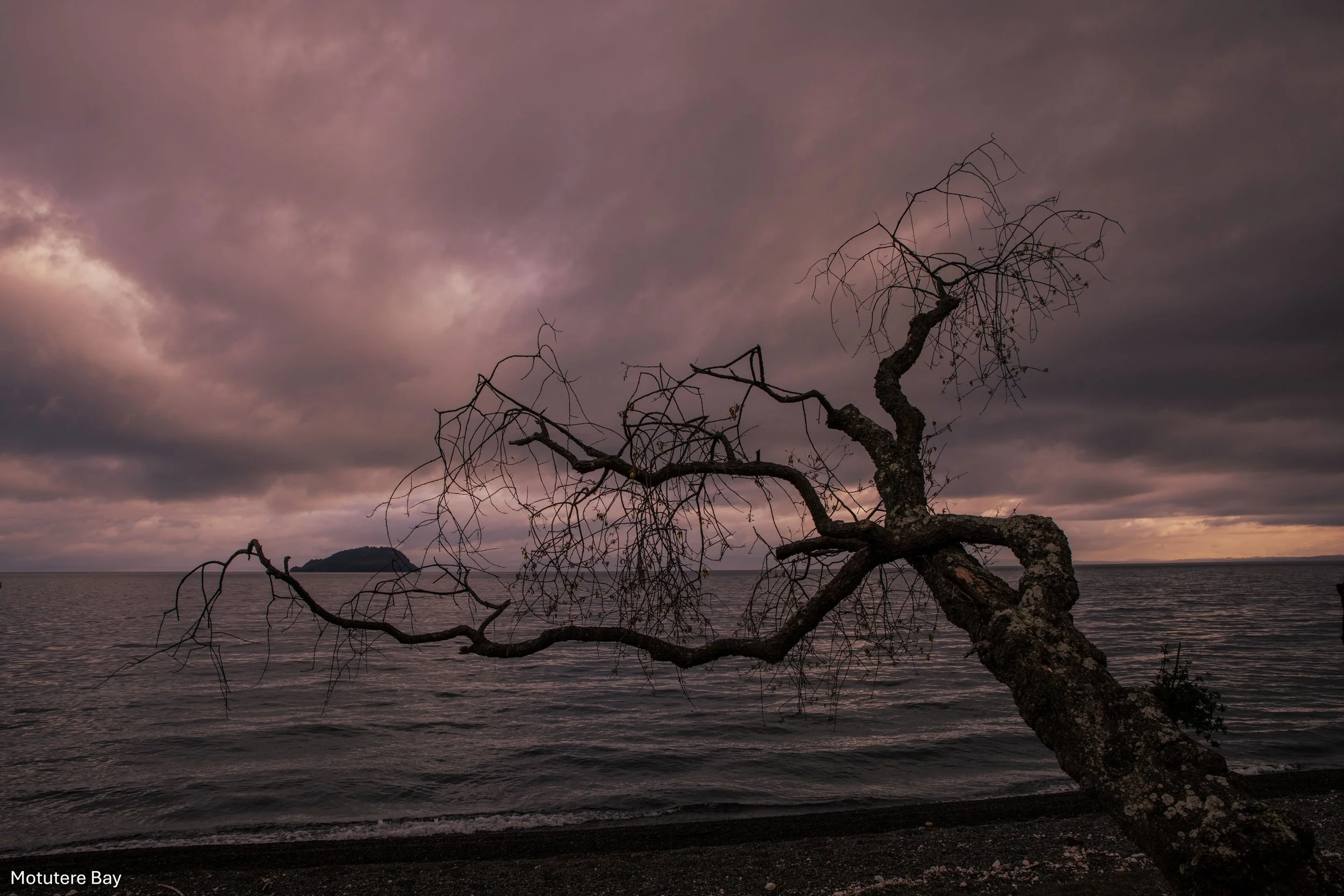 Motutere Bay,Taupo,-1801.jpg