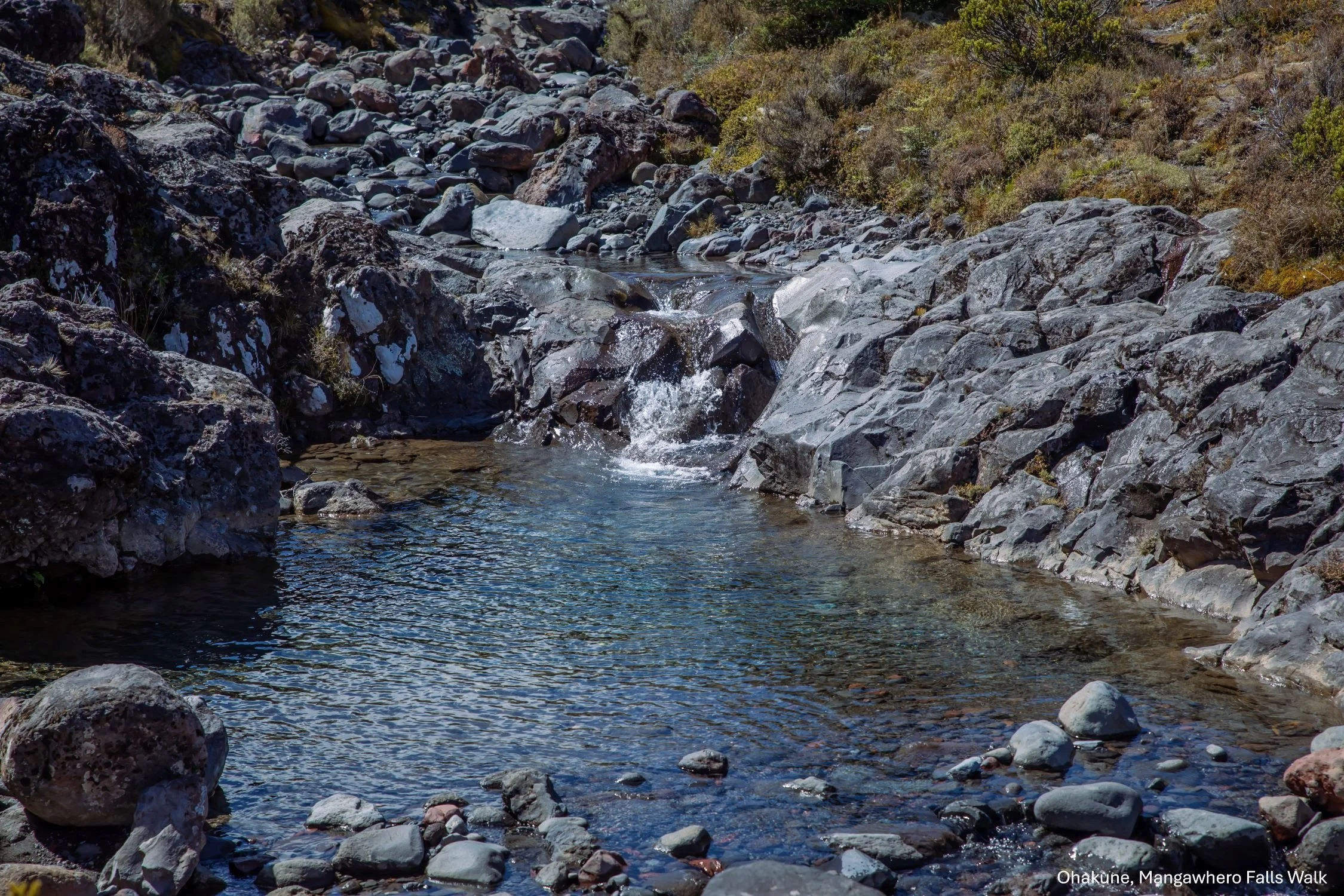 Ohakune,Mangawhero Falls Walk,-6504.jpg