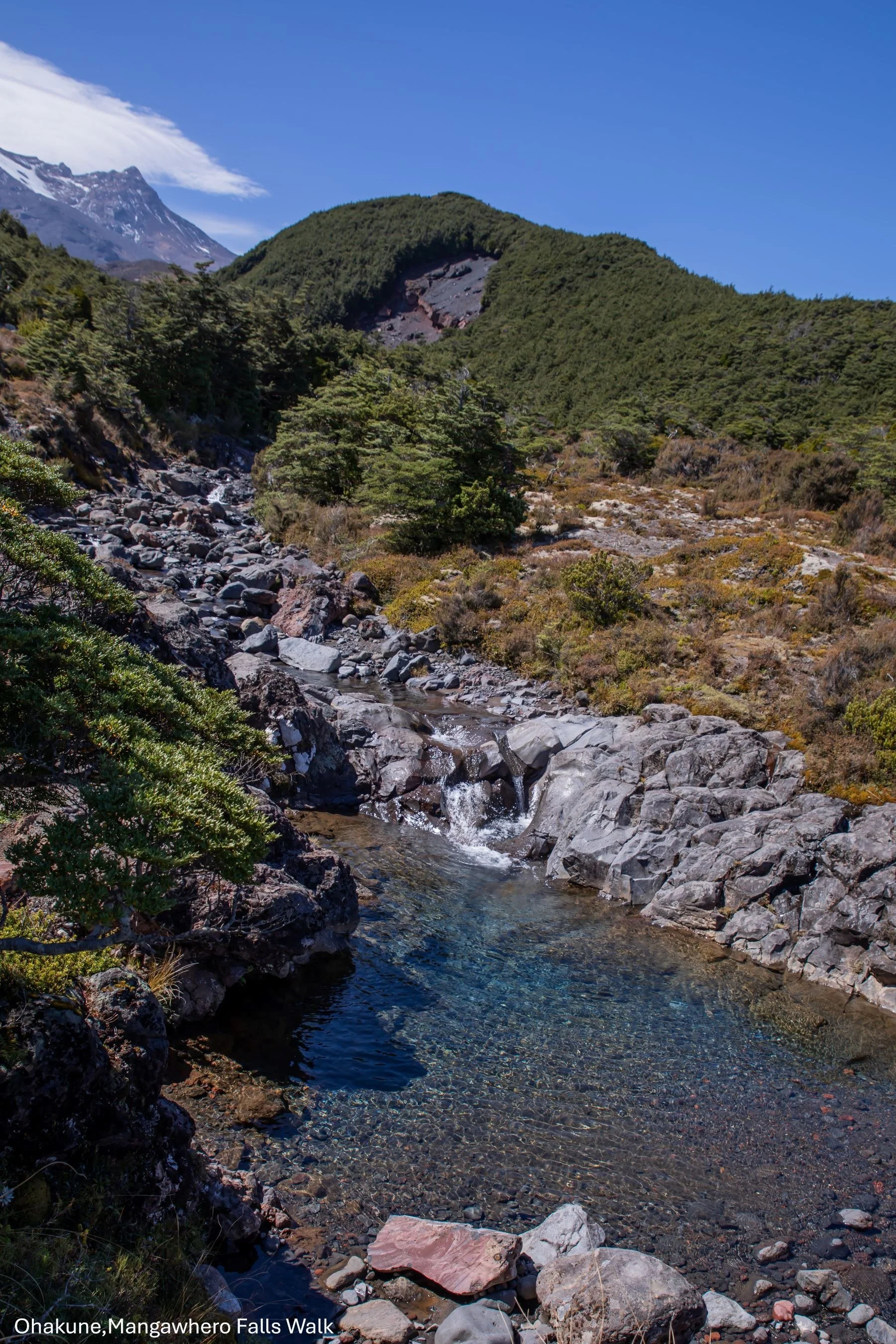 Ohakune,Mangawhero Falls Walk,-6507.jpg