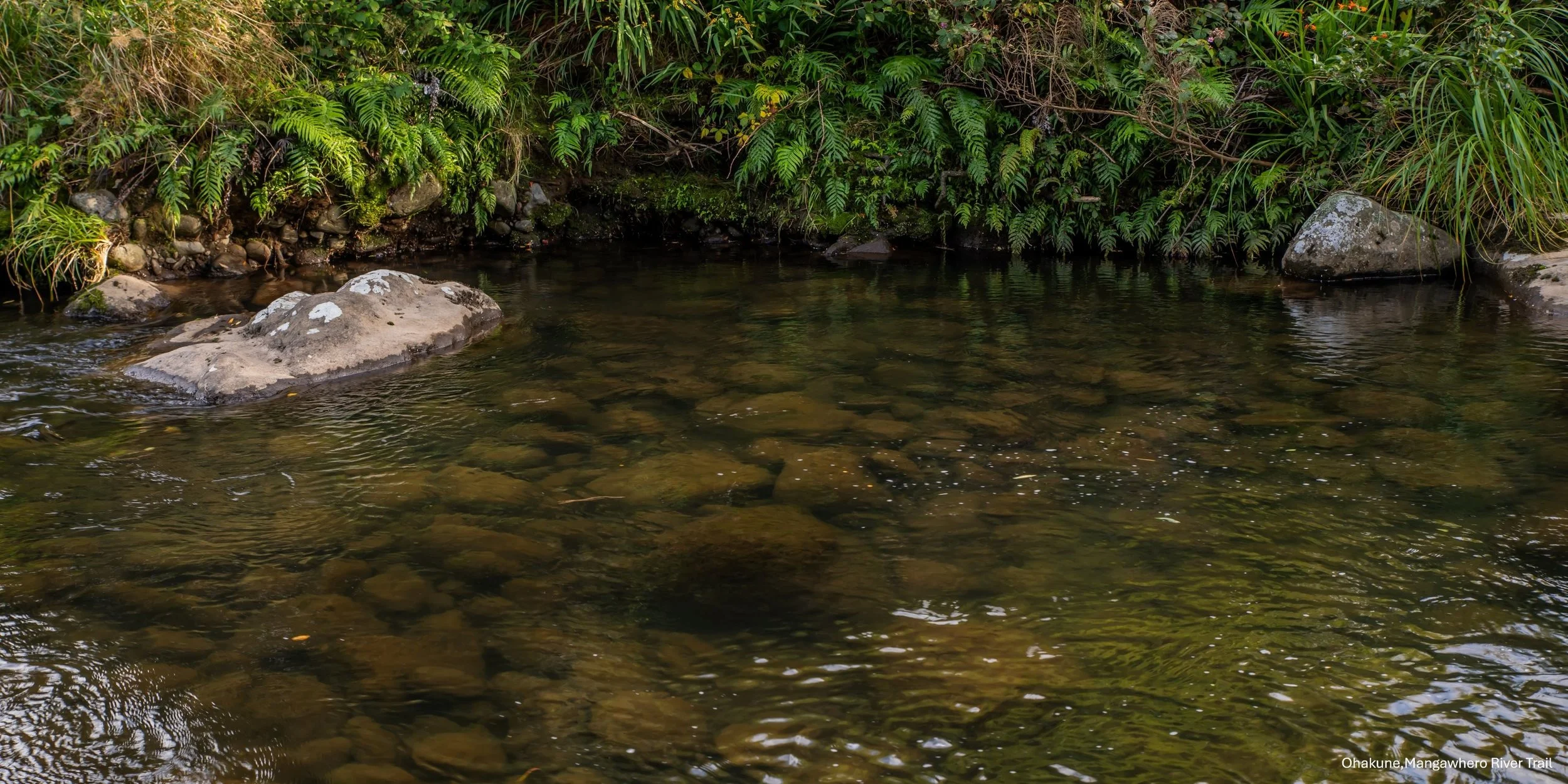 Ohakune,Mangawhero River Trail,-6439.jpg