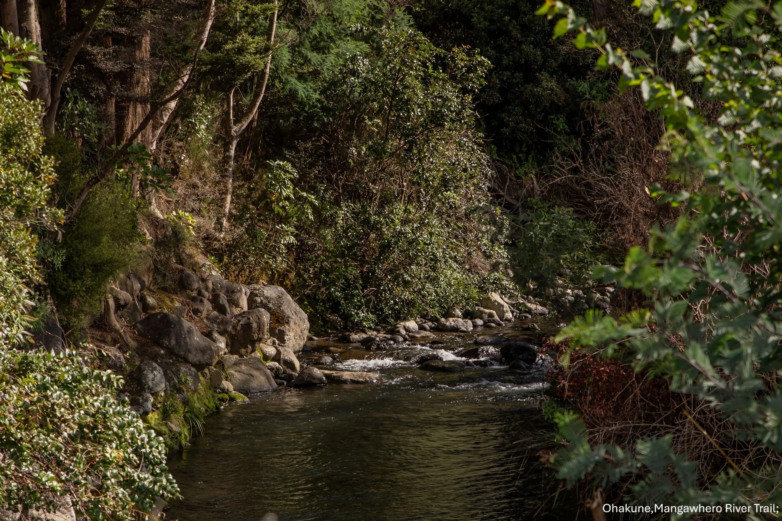 Ohakune,Mangawhero River Trail,-6470.jpg