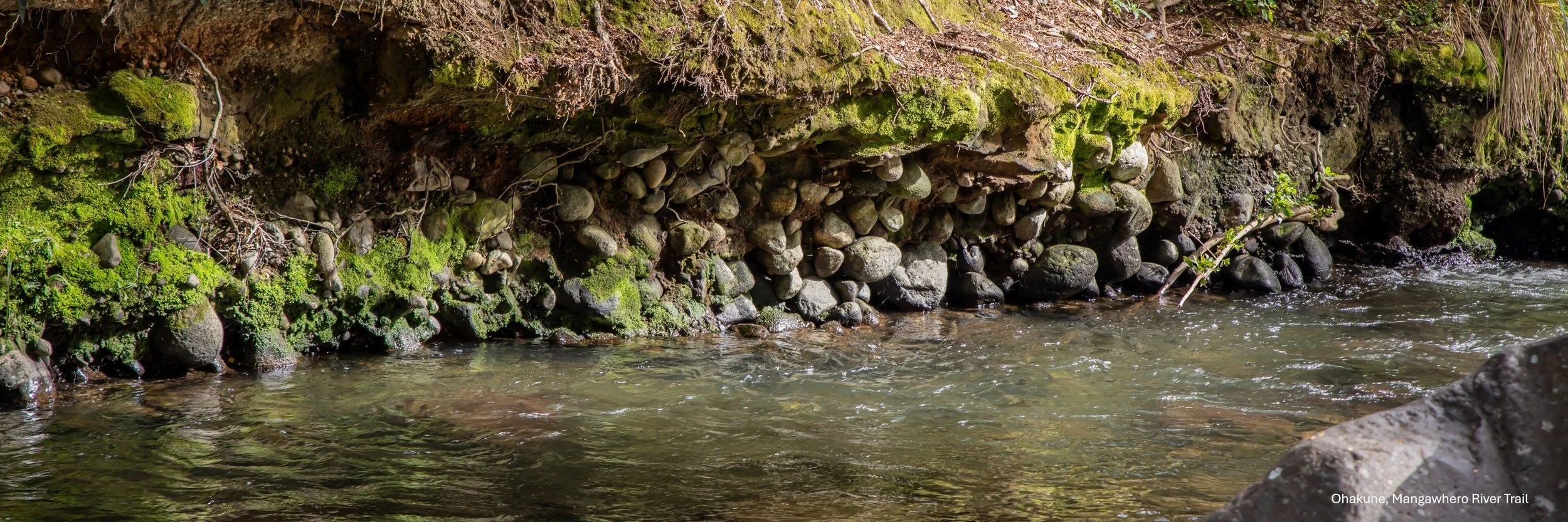 Ohakune,Mangawhero River Trail,-6477.jpg