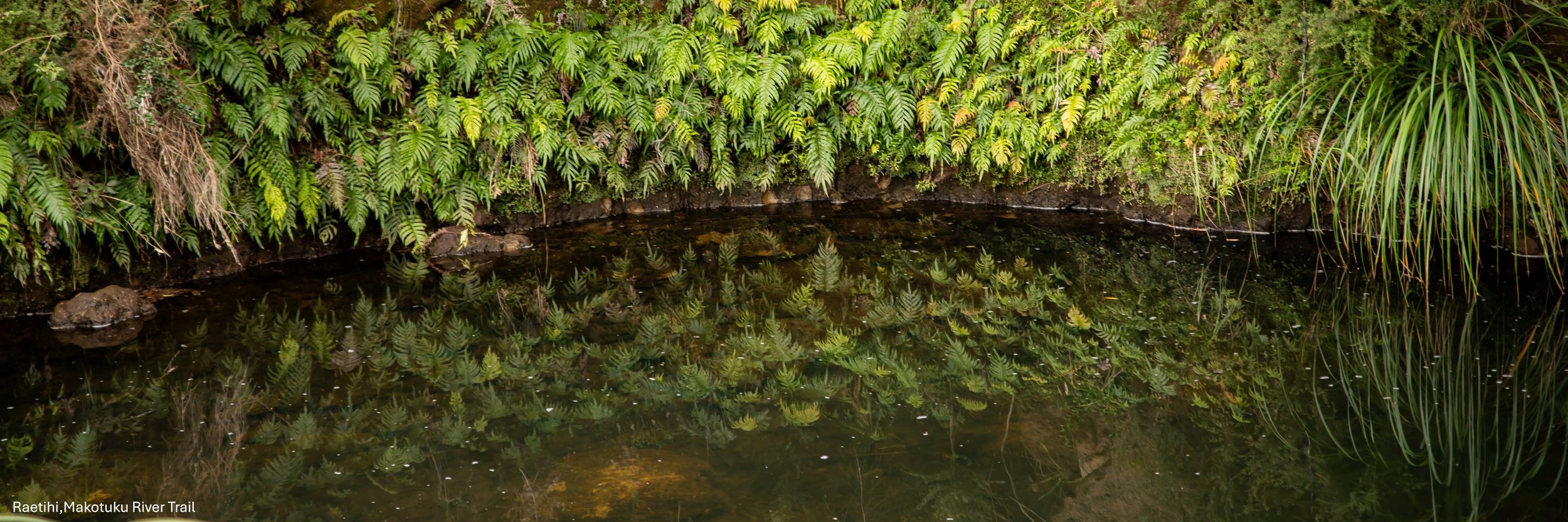Raetihi,Makotuku River Trail,-6664.jpg