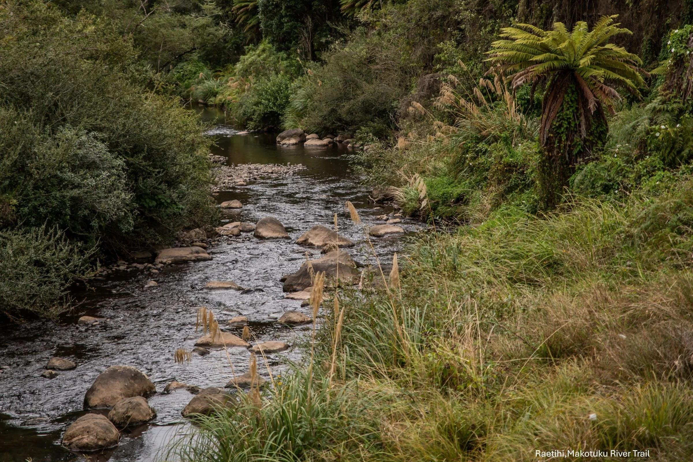 Raetihi,Makotuku River Trail,-6669.jpg