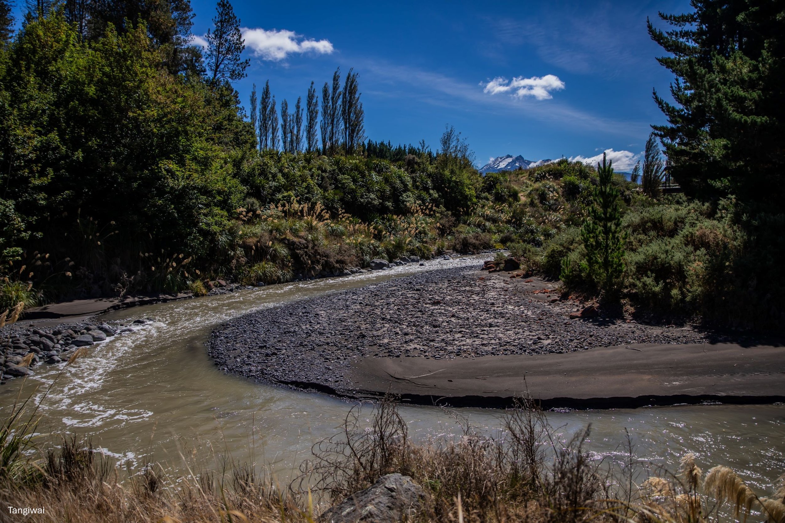 Tangiwai,-6624.jpg