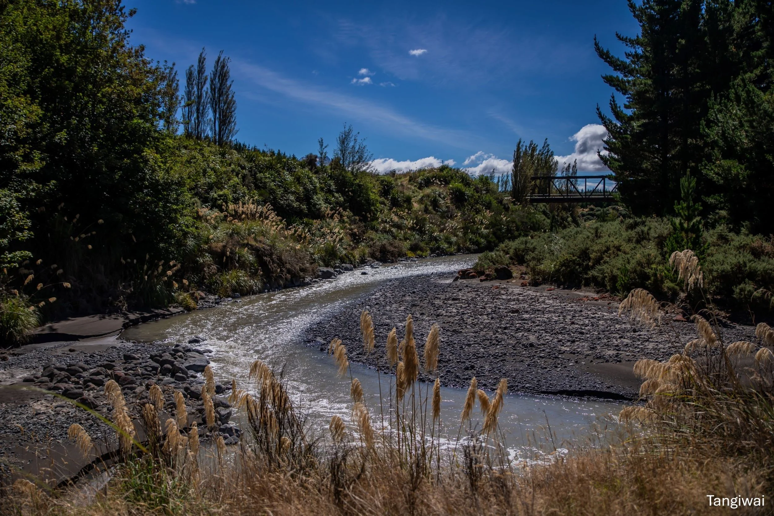 Tangiwai,-6625.jpg