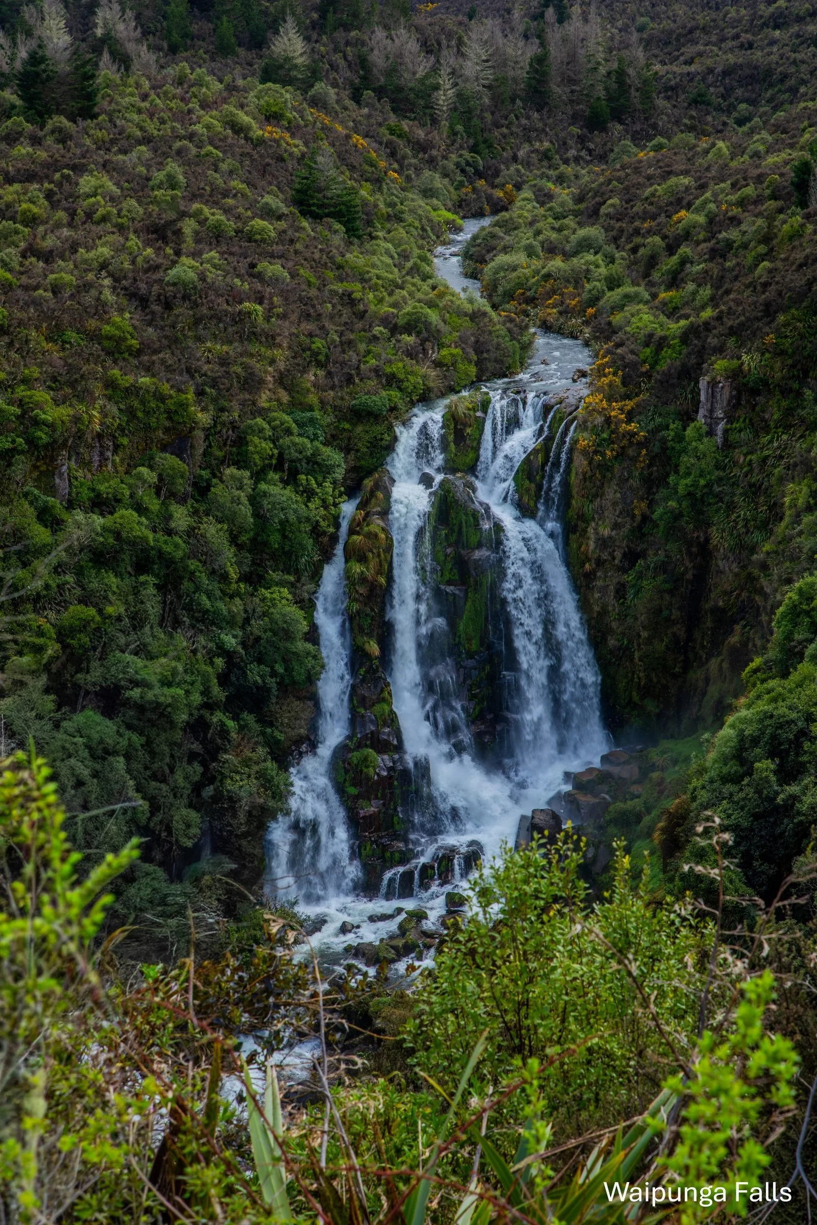 Waipunga Falls,-1804.jpg