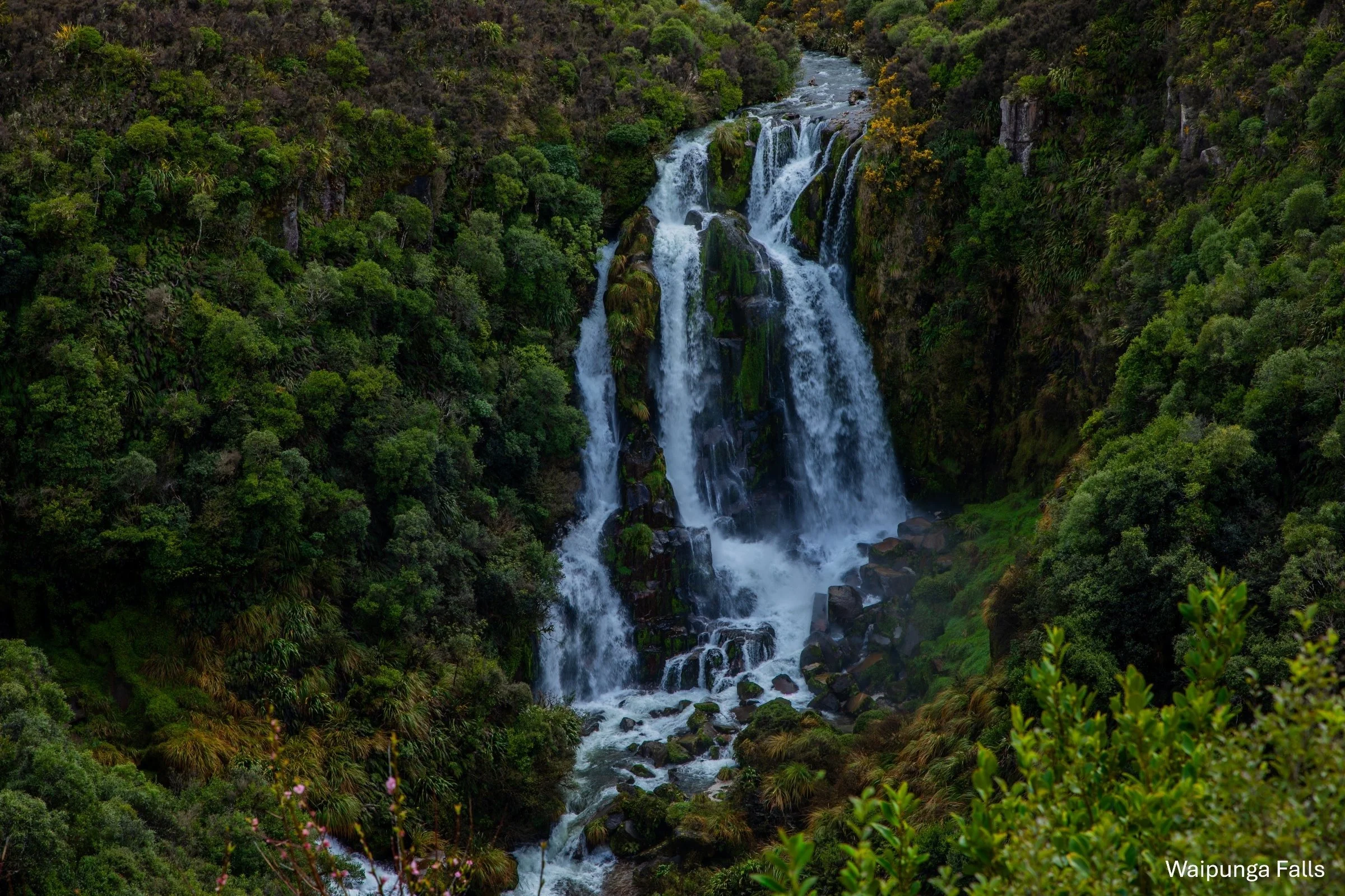Waipunga Falls,-1805.jpg