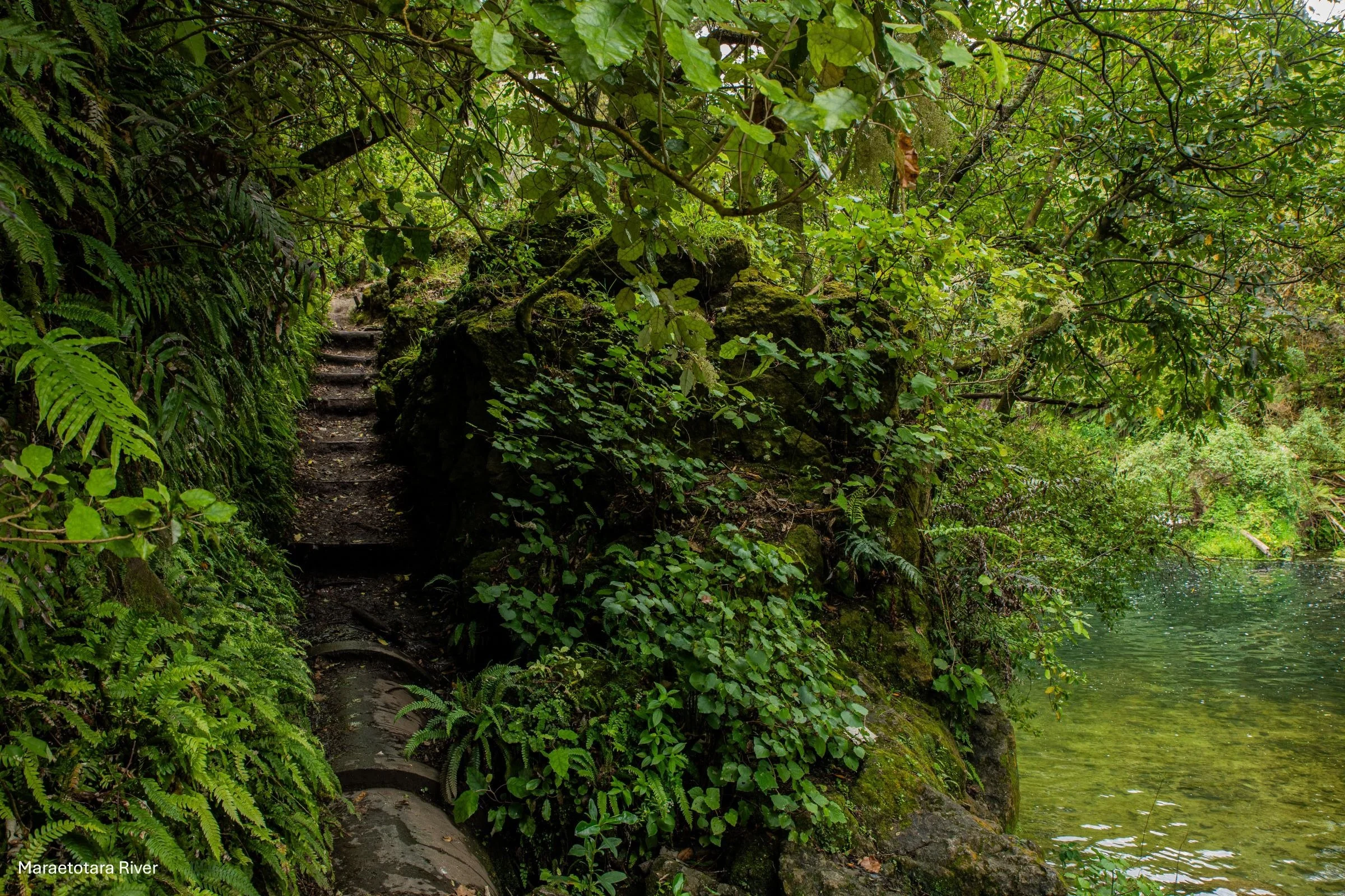 Hawkes Bay,Maraetotara River,-1861.jpg