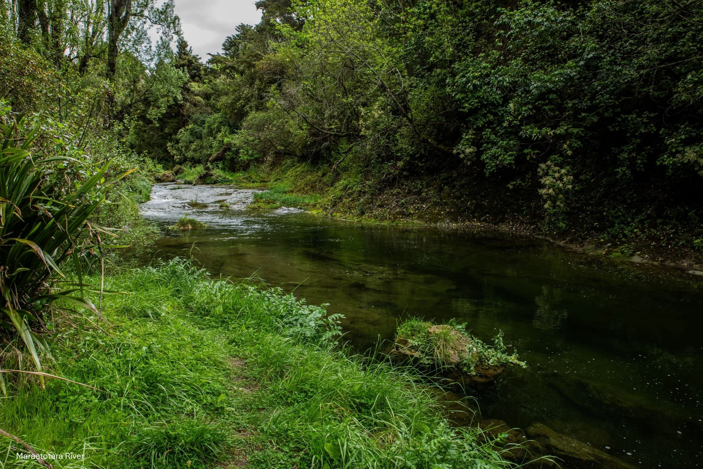 Hawkes Bay,Maraetotara River,-1879.jpg