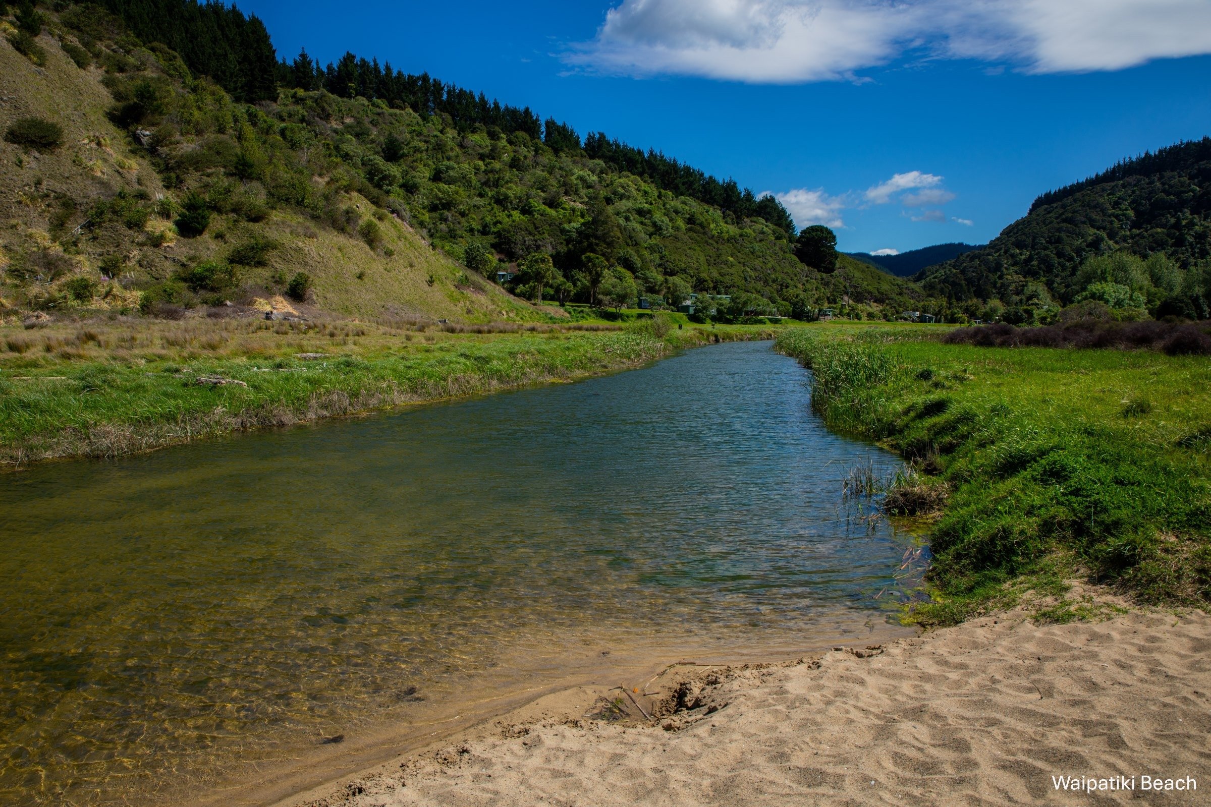 Hawkes Bay,Waipatiki Beach,-1833.jpg