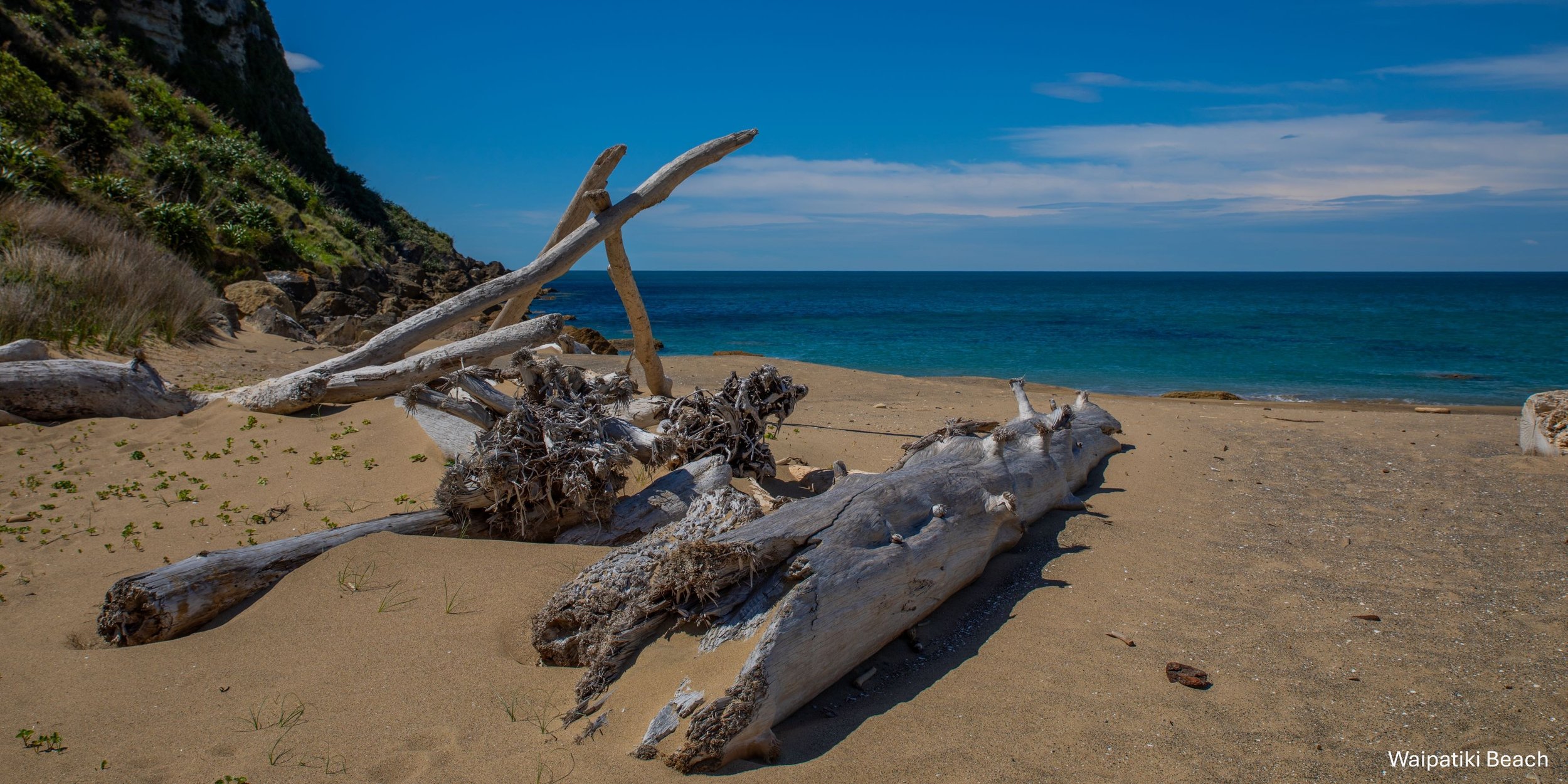Hawkes Bay,Waipatiki Beach,-1849.jpg