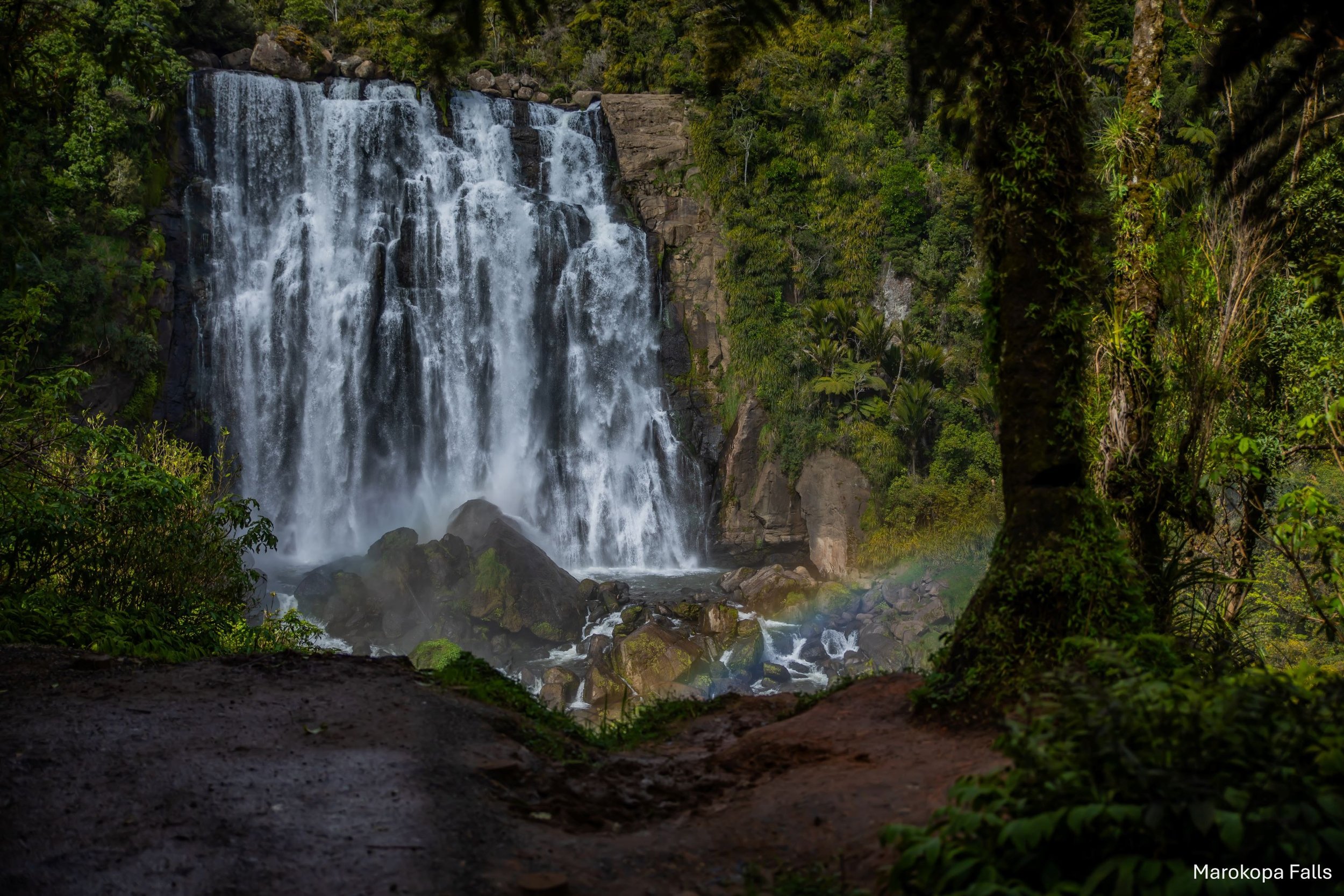 Marokopa Falls,-5196.jpg