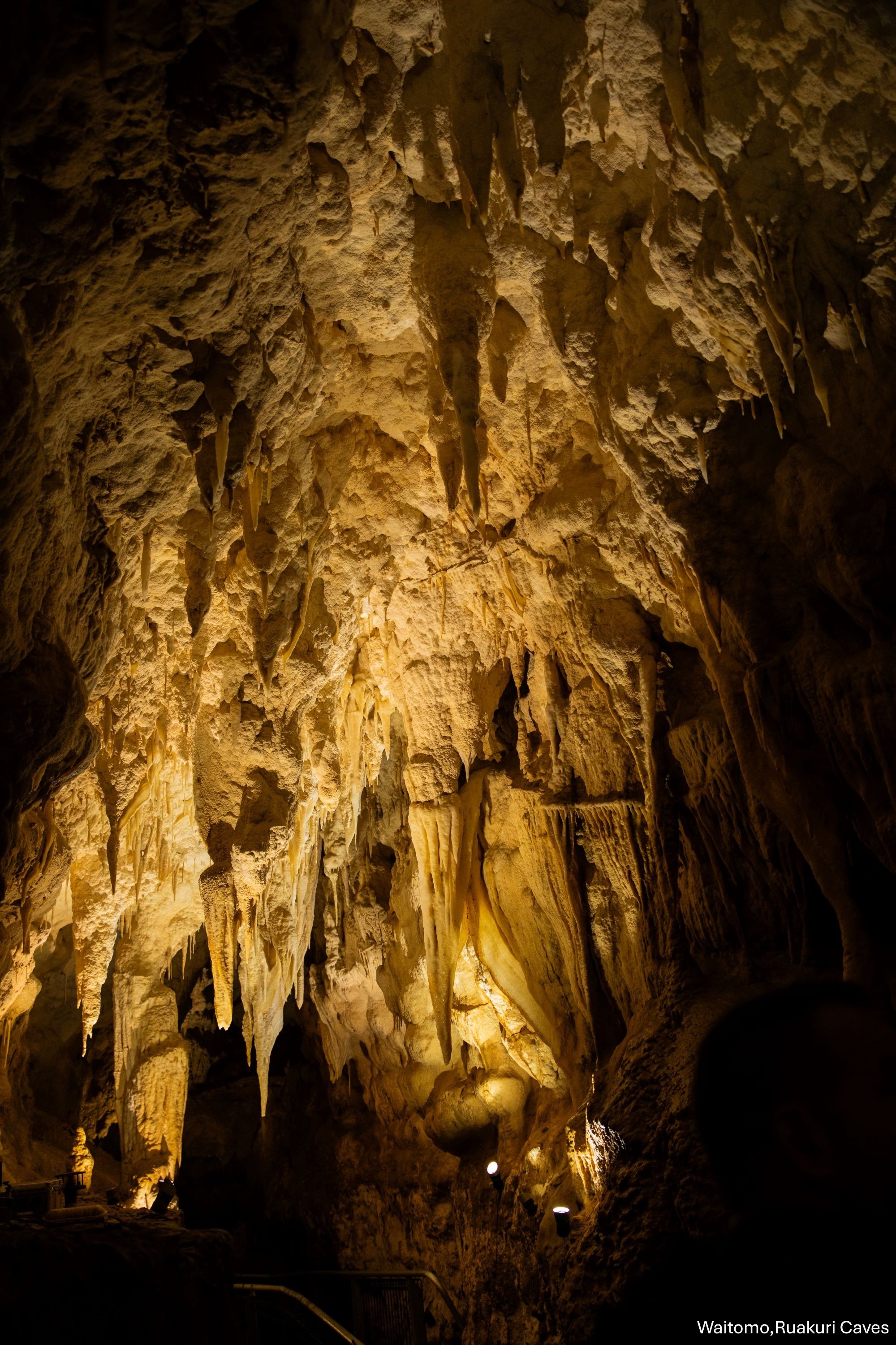 Waitomo,Ruakuri Caves,-5145.jpg