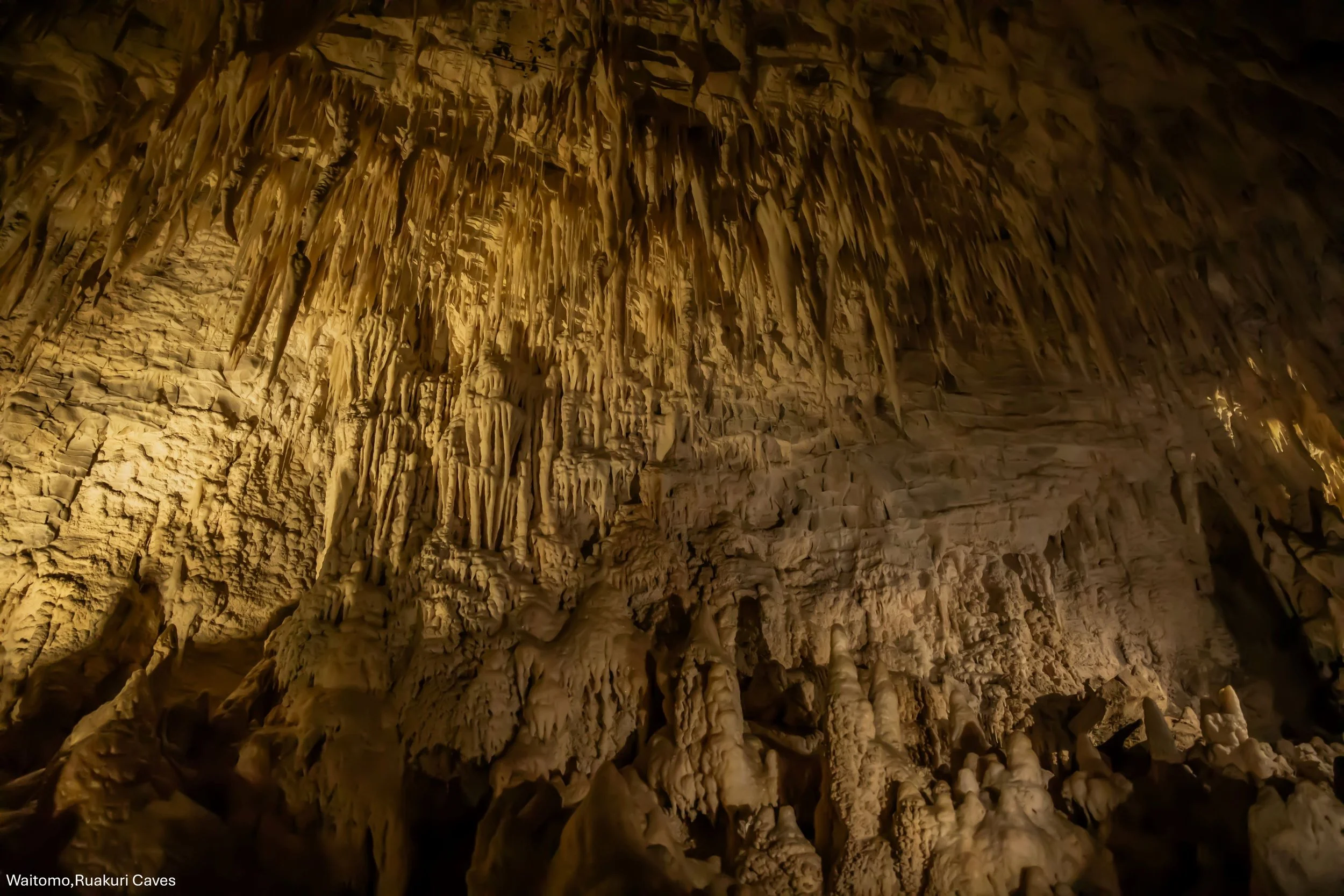 Waitomo,Ruakuri Caves,-5160.jpg
