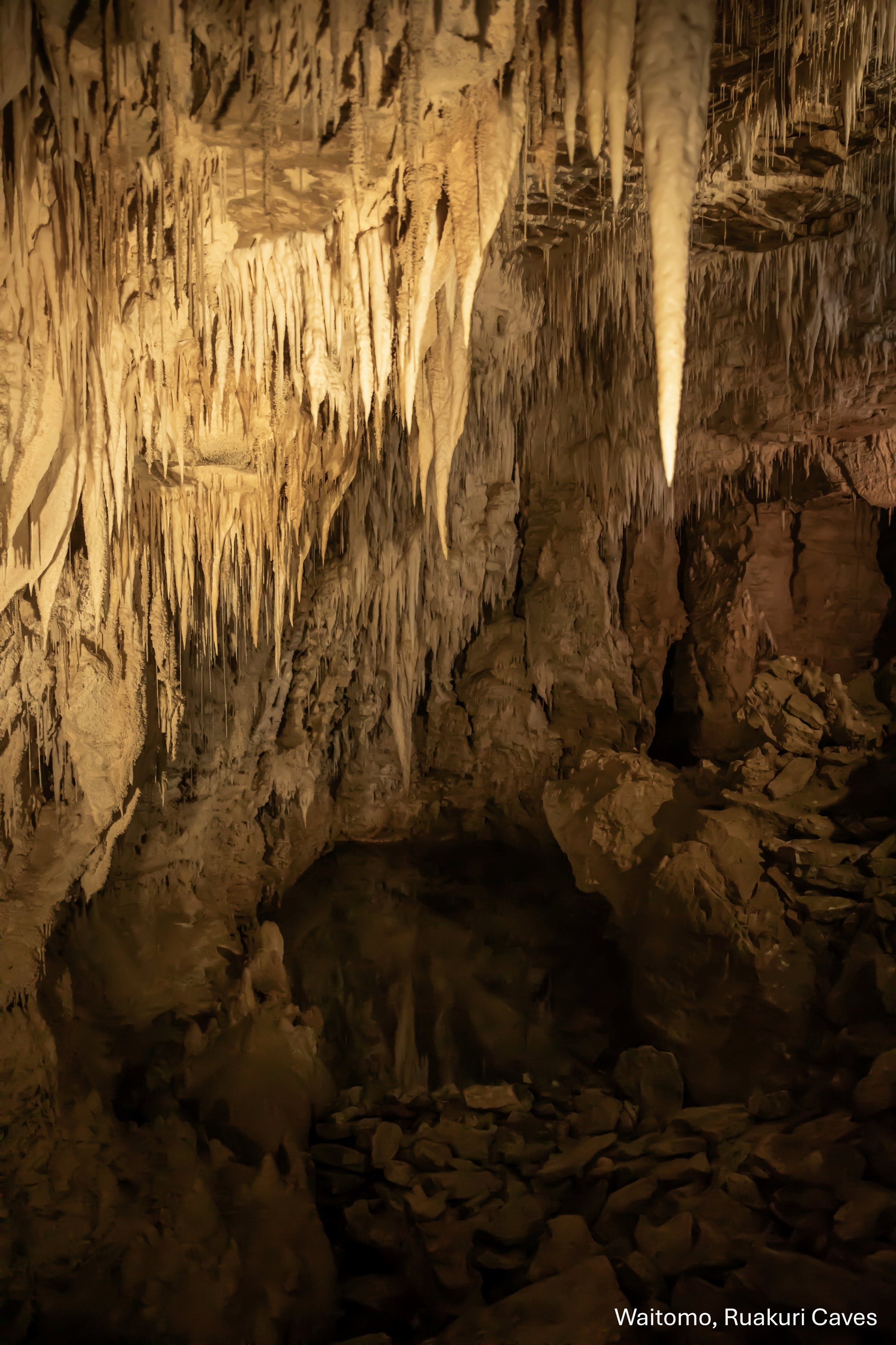 Waitomo,Ruakuri Caves,-5162.jpg