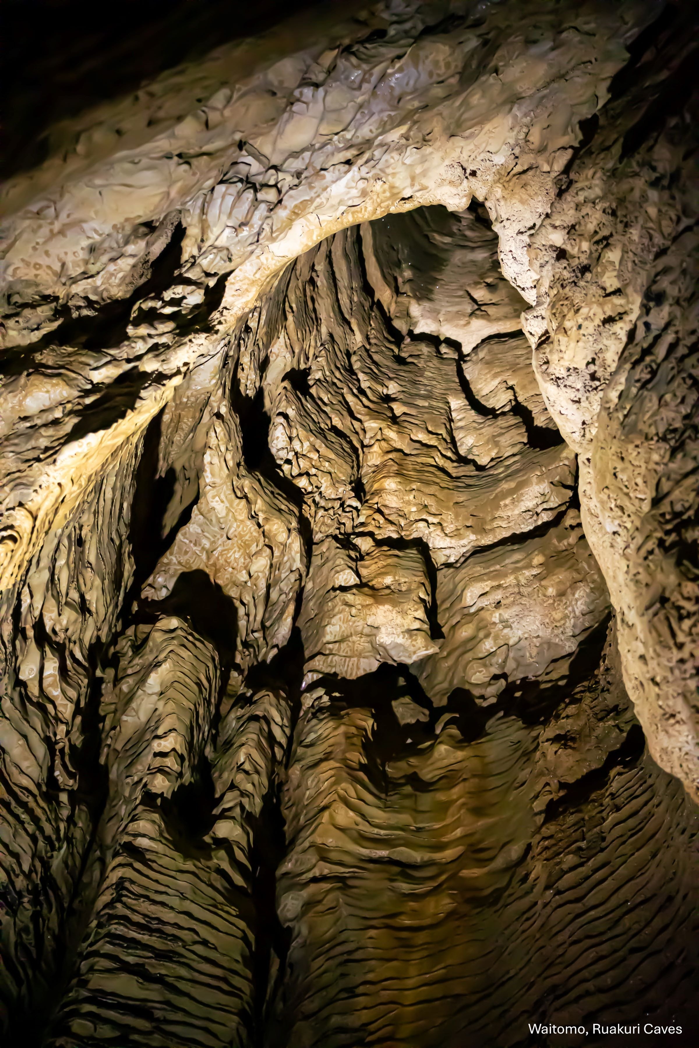 Waitomo,Ruakuri Caves,-5164.jpg