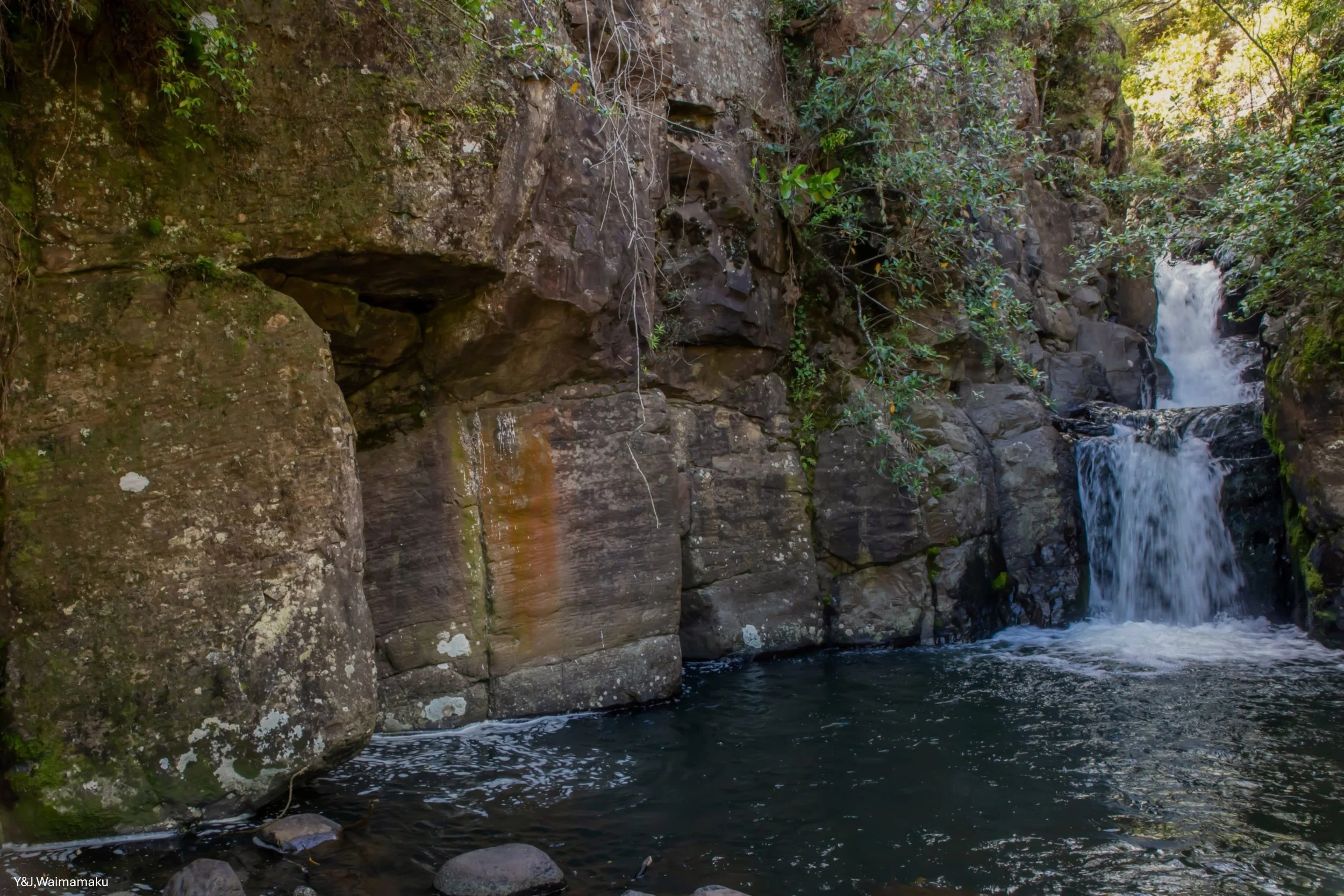 Y&J, Waimamaku,-6142.jpg