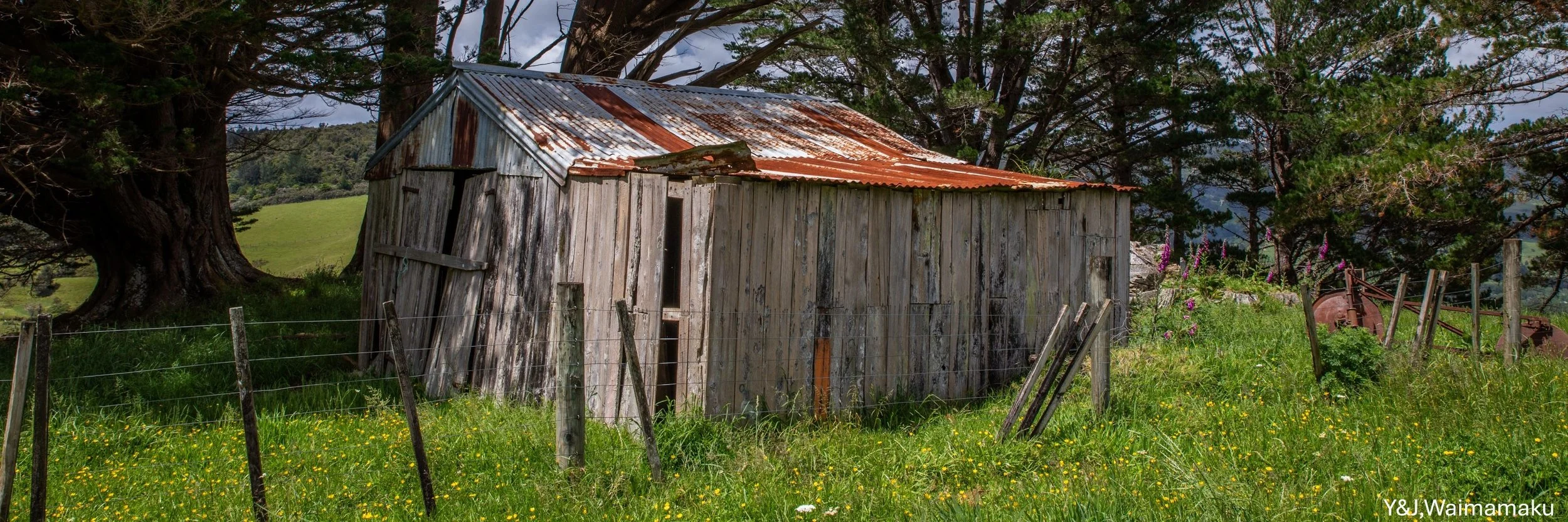 Y&J, Waimamaku,-6178.jpg