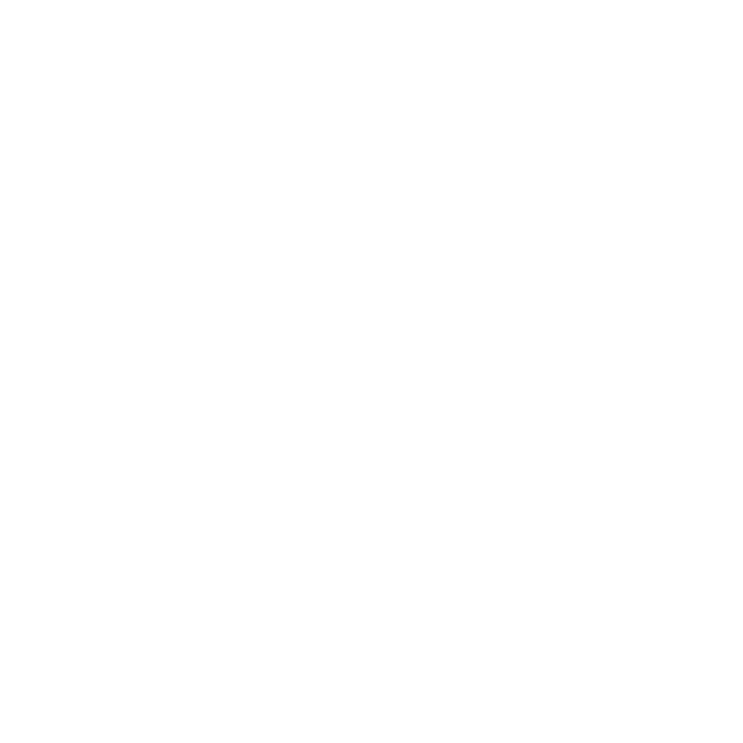  Leadership USA