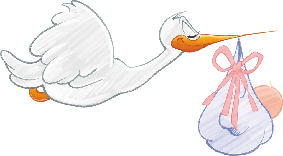 La cigogne amène bébé