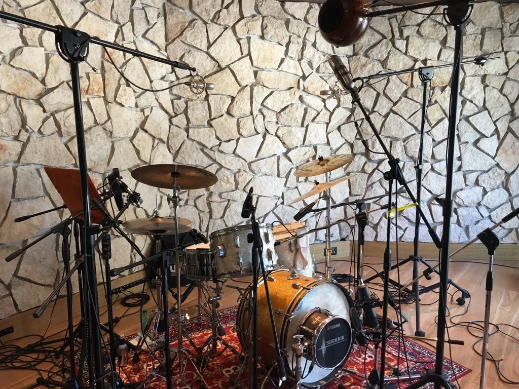Braingasm_Microfoni_Roberto_Rosu_Studio_Microphones_Roma_7.jpg