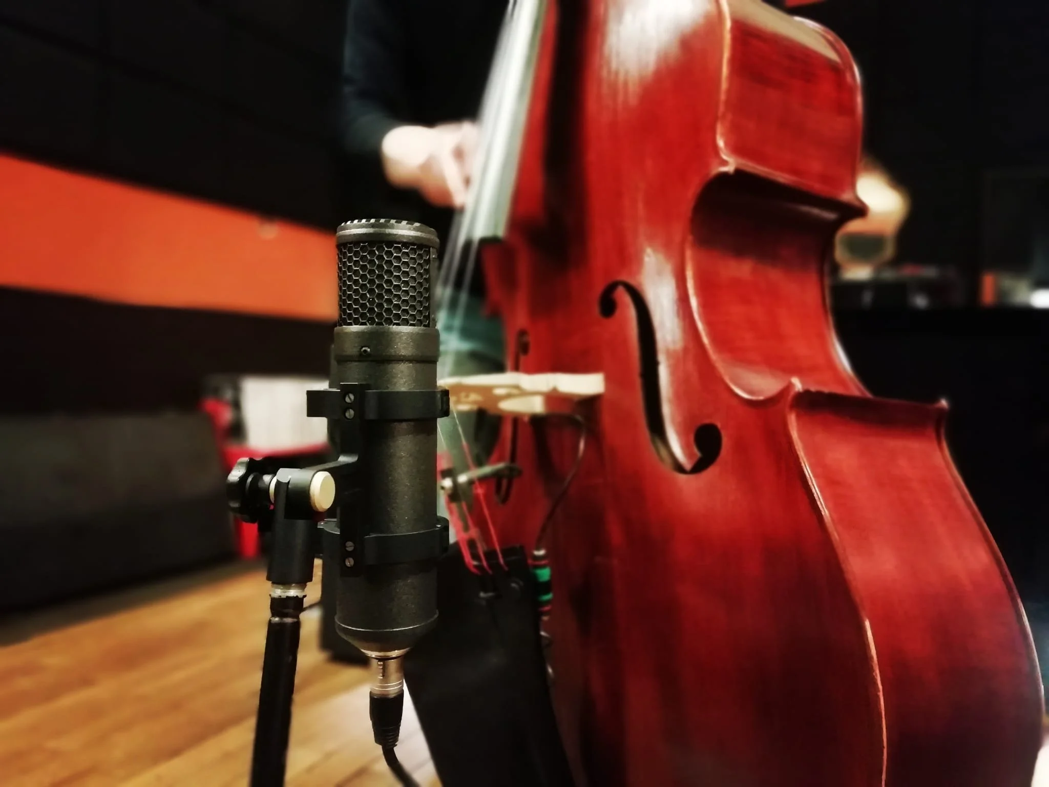 Braingasm Lab Custom Microphones Roma