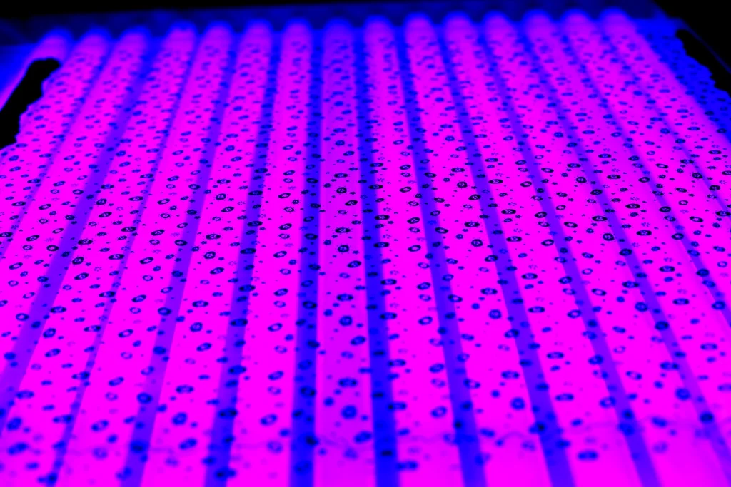 Close-up of a surface with purple and blue dots under ultraviolet light, creating a glowing effect.