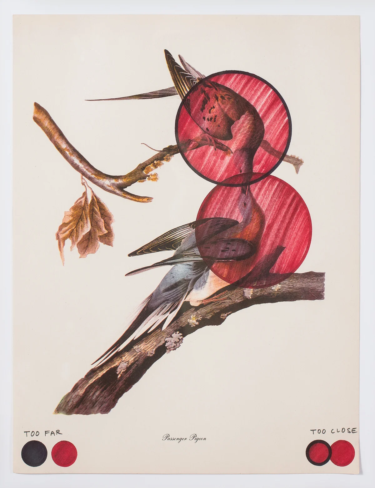Too Close Too Far 2005, Collage, 12 x 9 inches