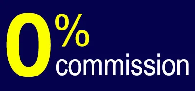 Webpage_0 Commission.jpg