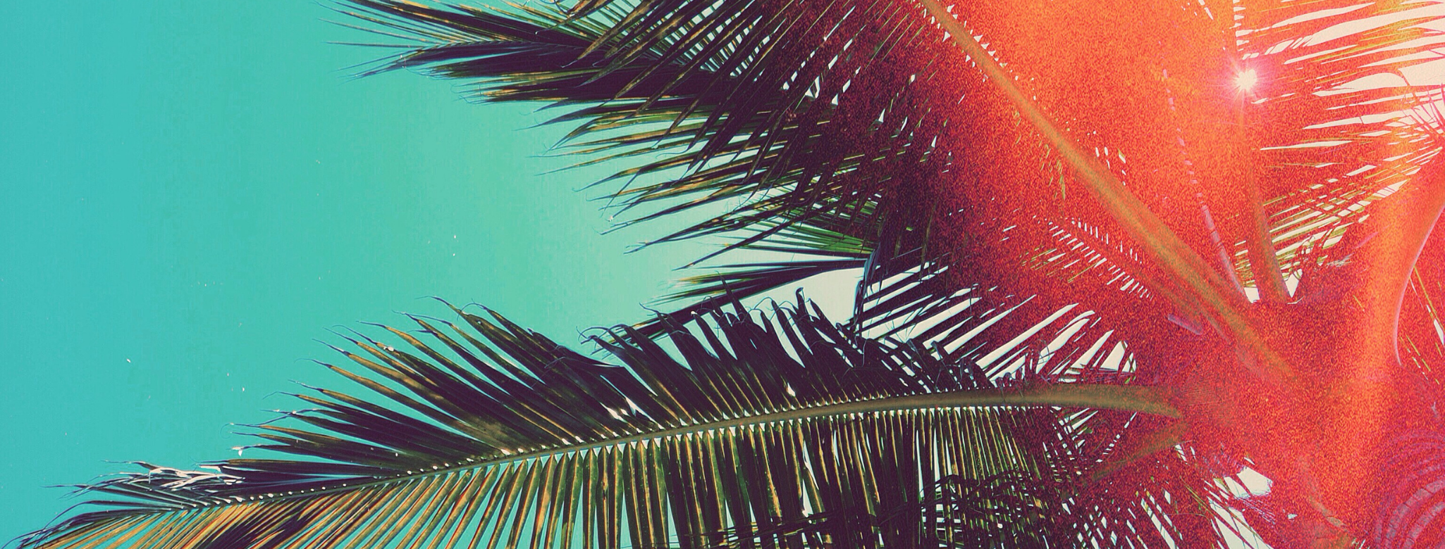 header.png