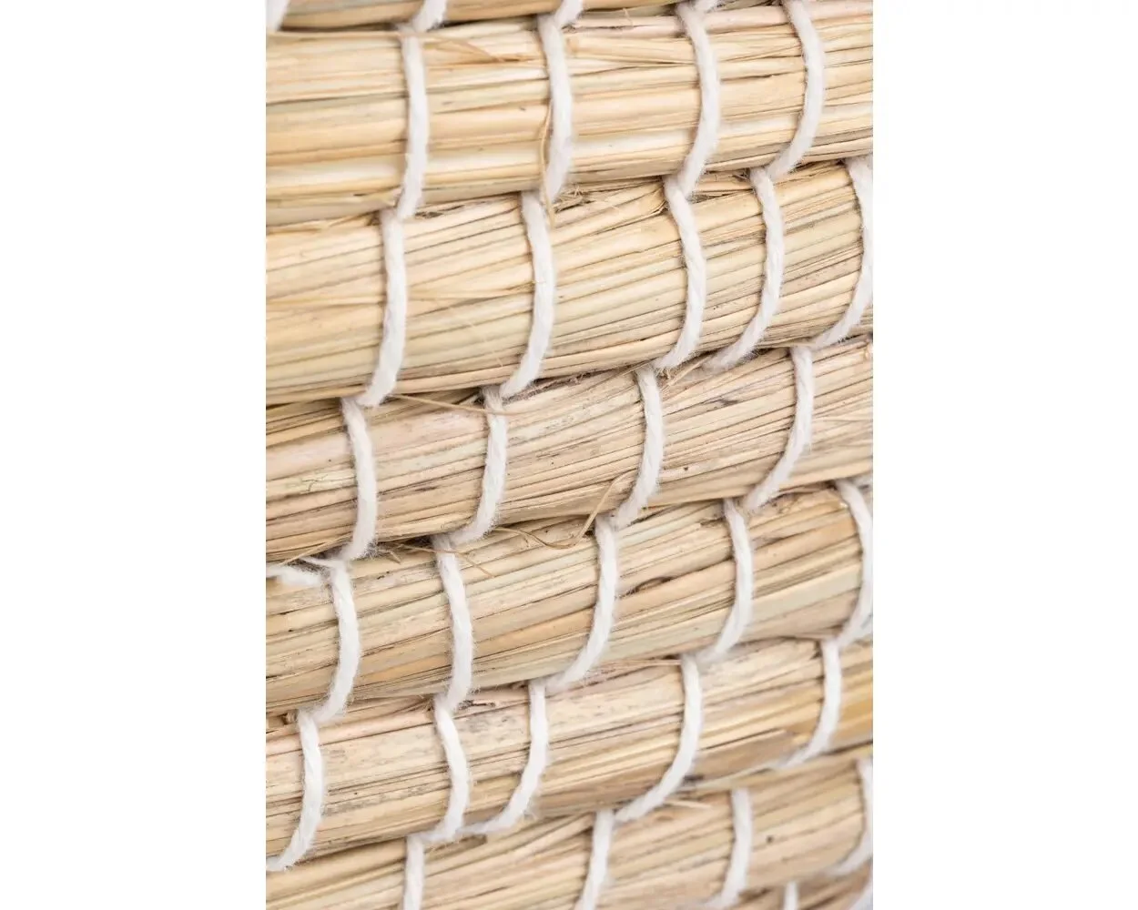 823D2D63-61A2-4FB2-A853-0547EEEC5B68