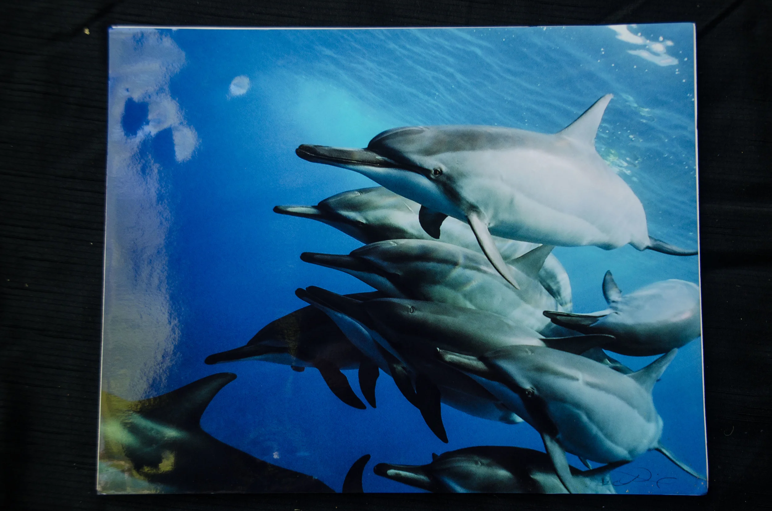 DSC_5670.jpg