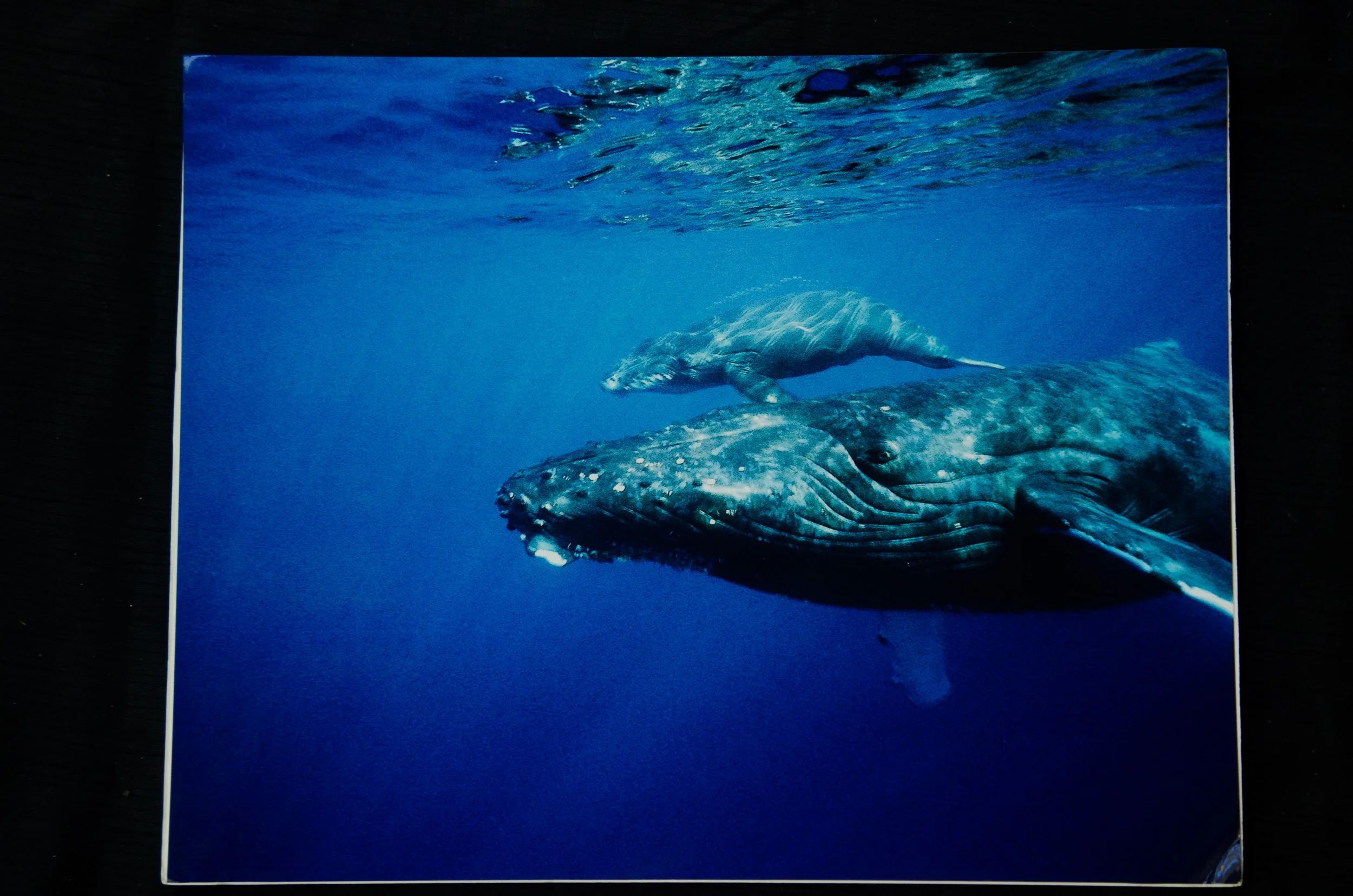 DSC_5679.jpg