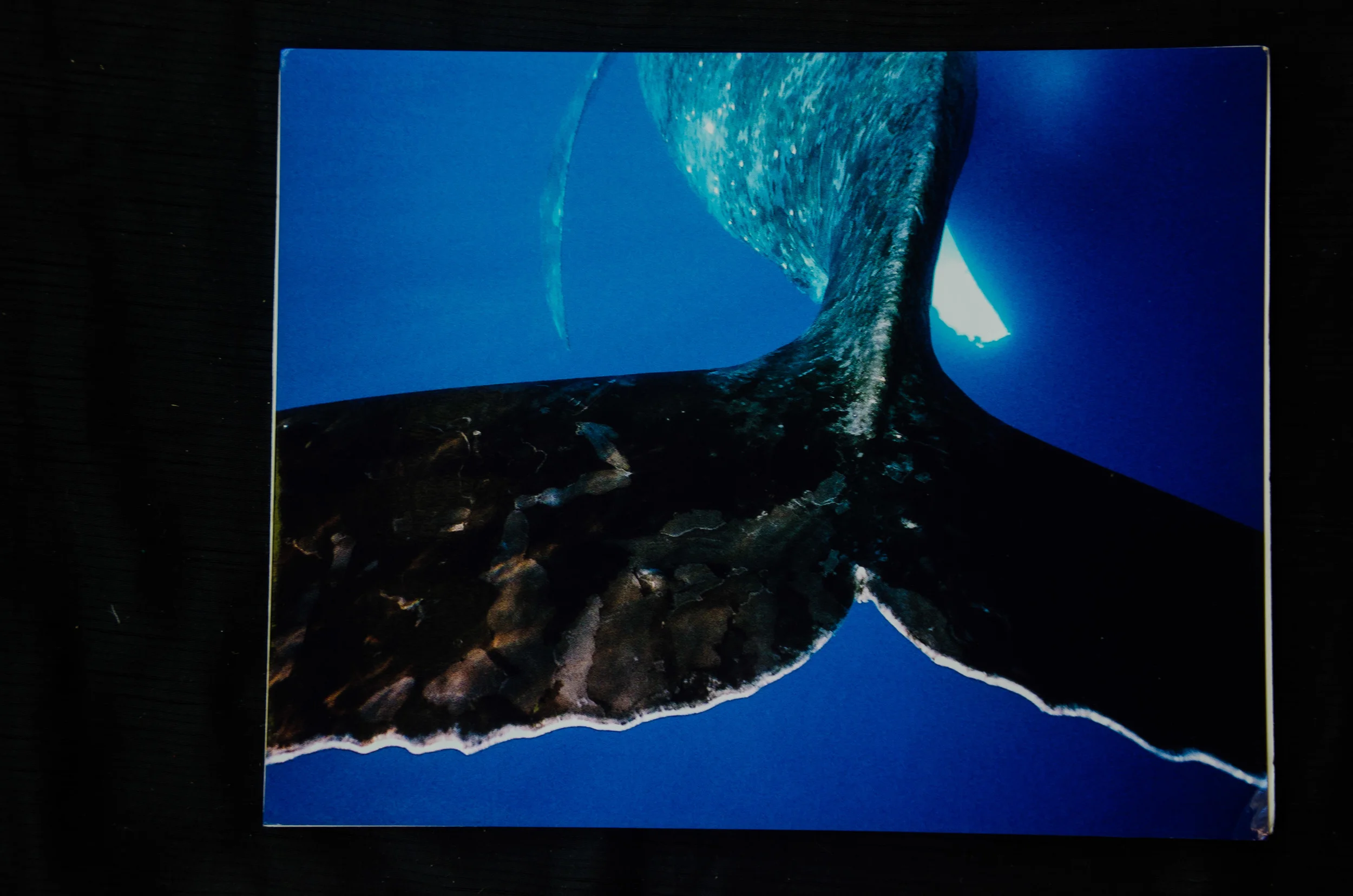 DSC_5678.jpg
