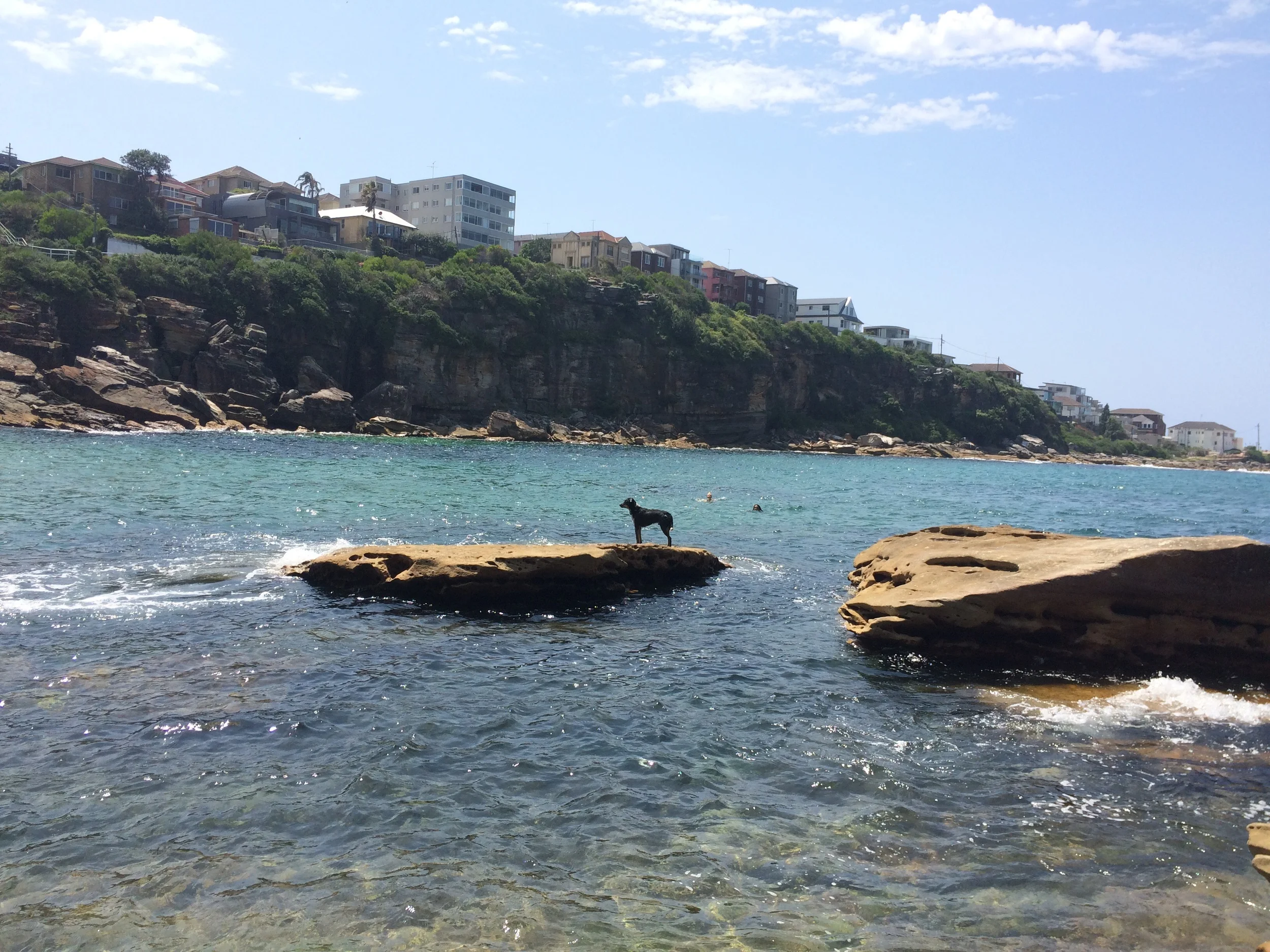 Team Gordon's Bay Events!