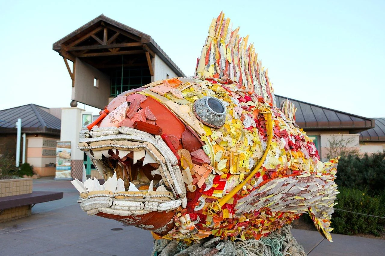 Marine Debris Sculpture-IMG_0843.jpg