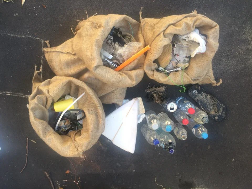 International Marine Debris Conservation