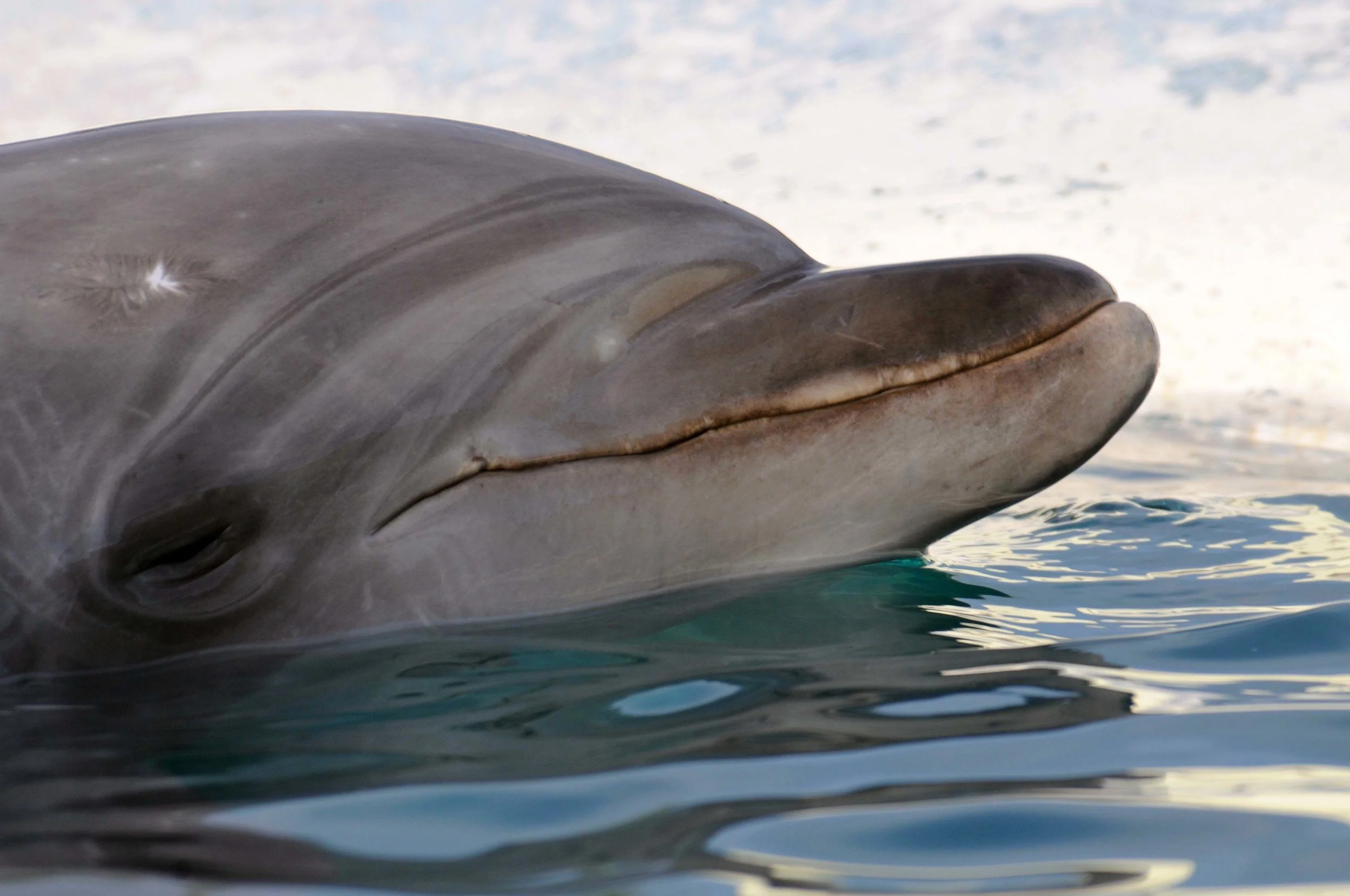 DSC_9888 copy(low).jpg