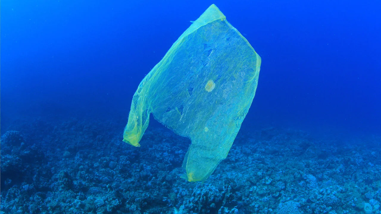 Plastic Bag Free Byron Bay