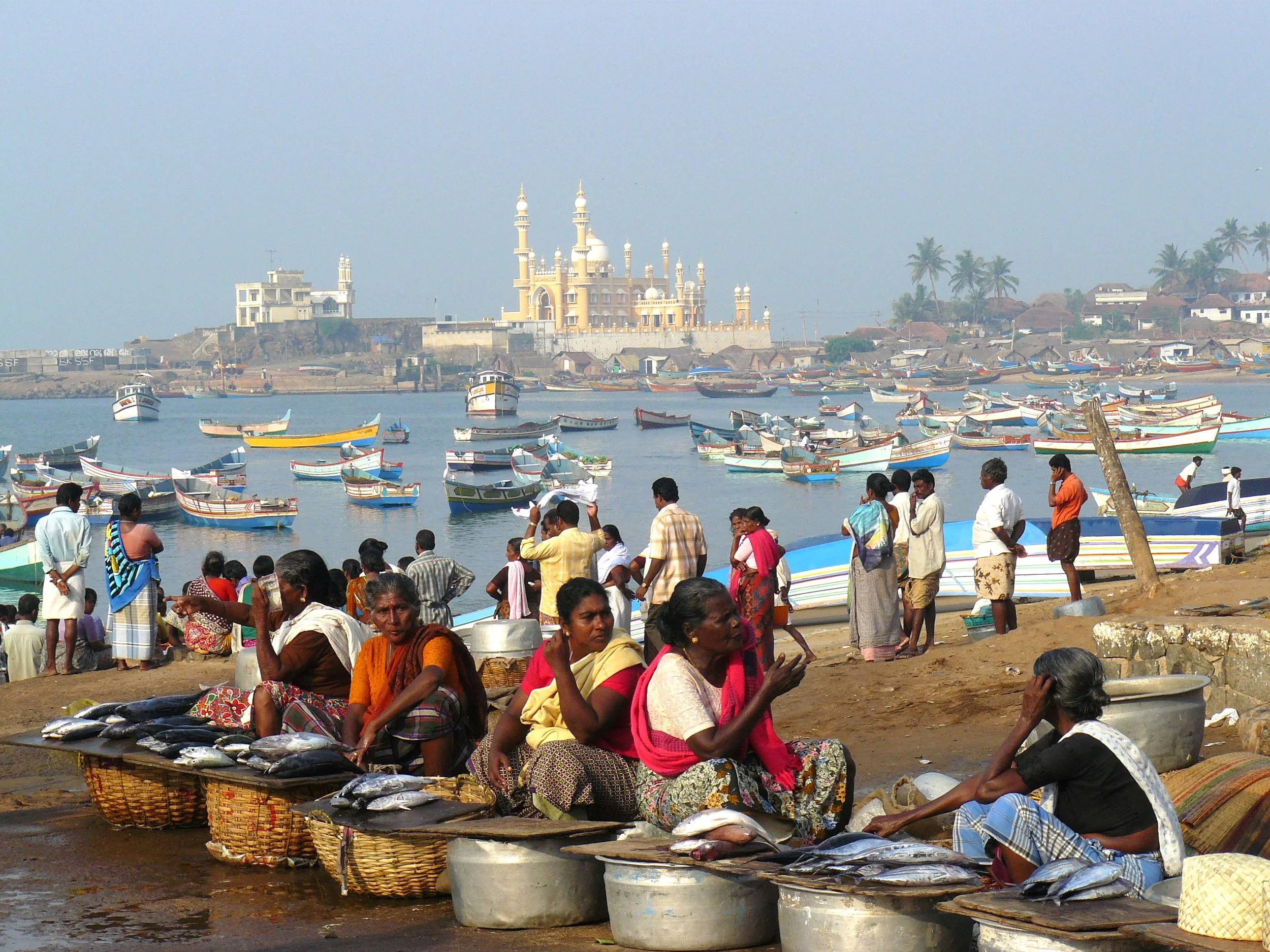vizhinjam 8.jpg