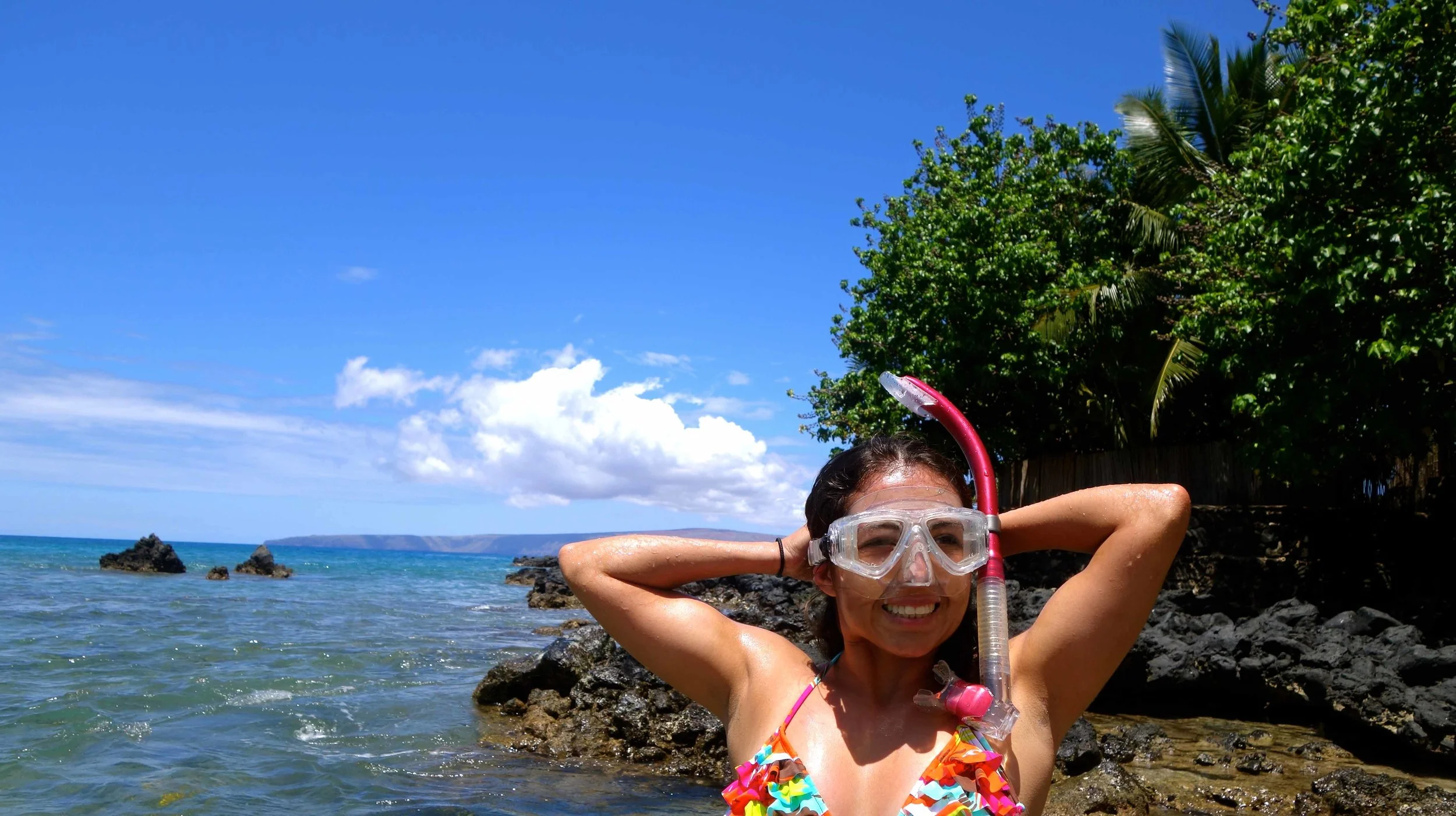 Scuba diving surveys