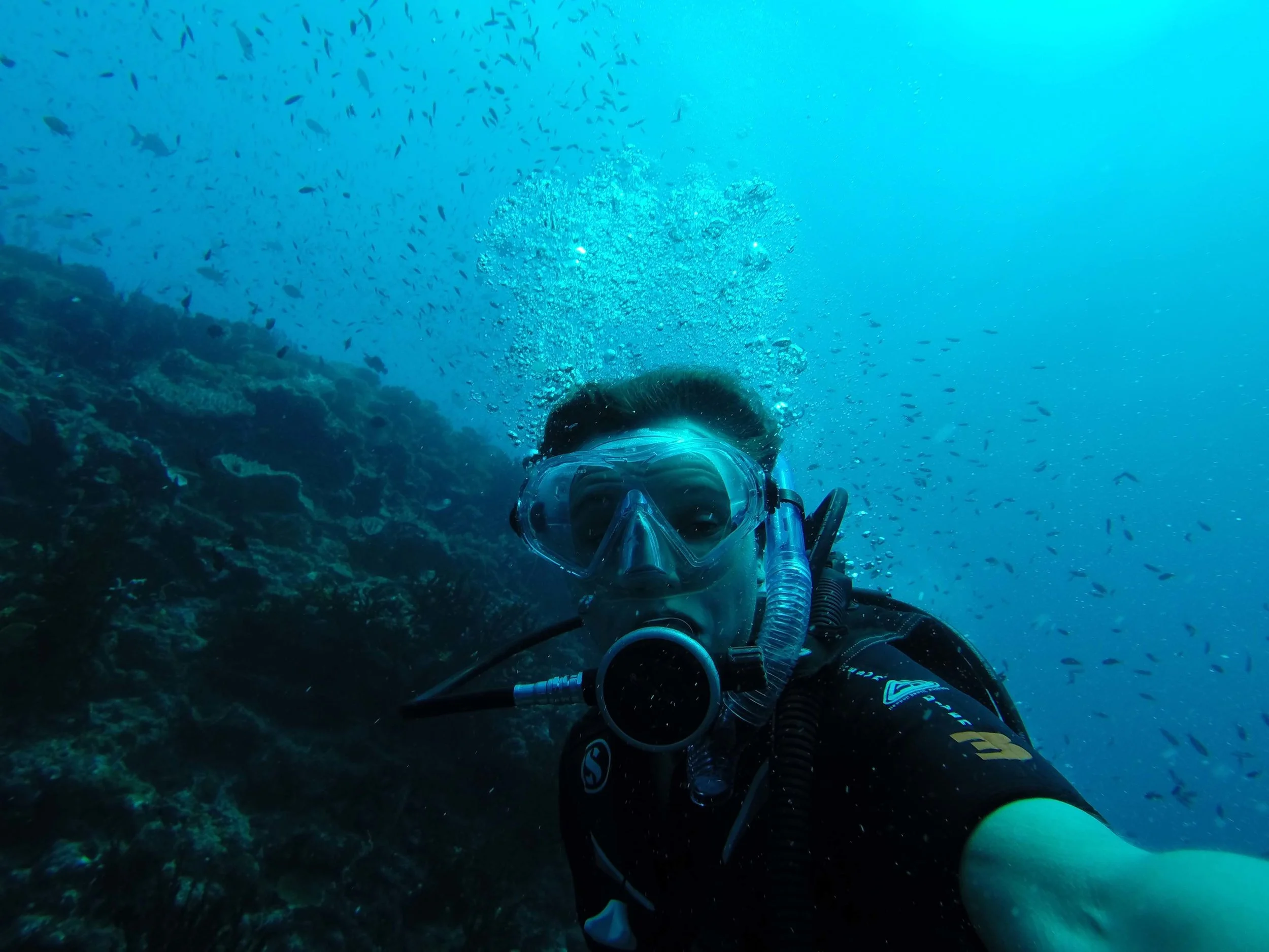 Coral reef restoration