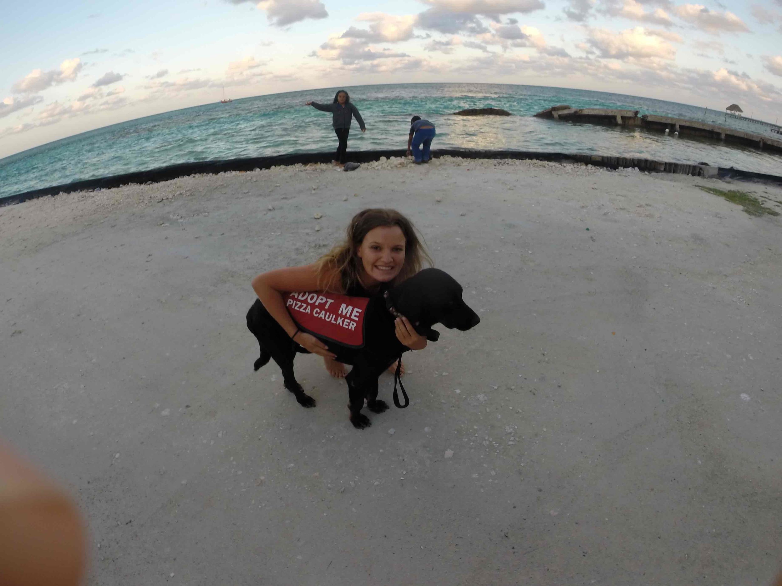 International volunteer opportunities