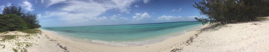 Marine Debris Survey