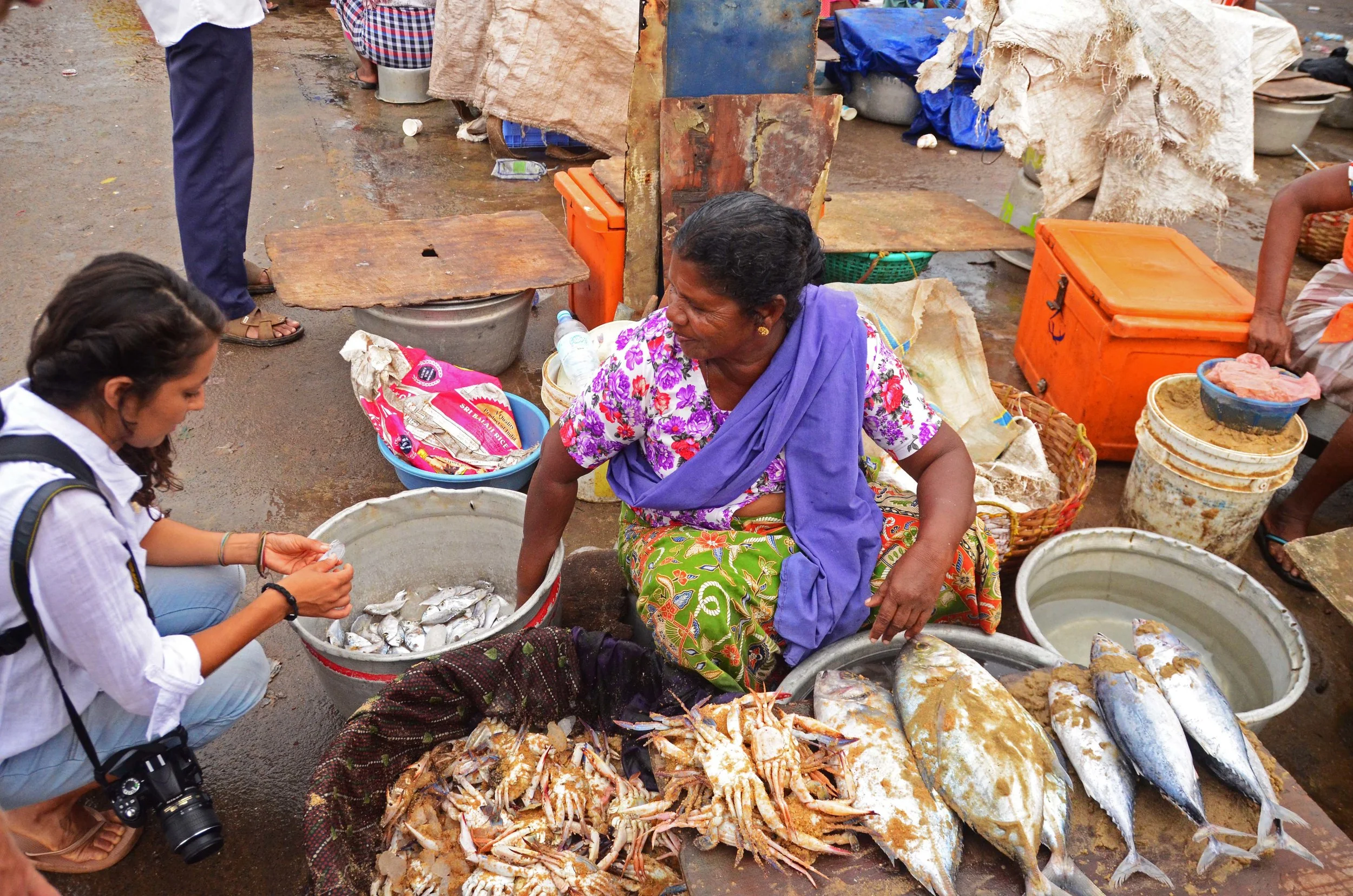 Elizabeth, one of our fisheries team members, examining the local catch and practices in Vizhinjam Harbour.