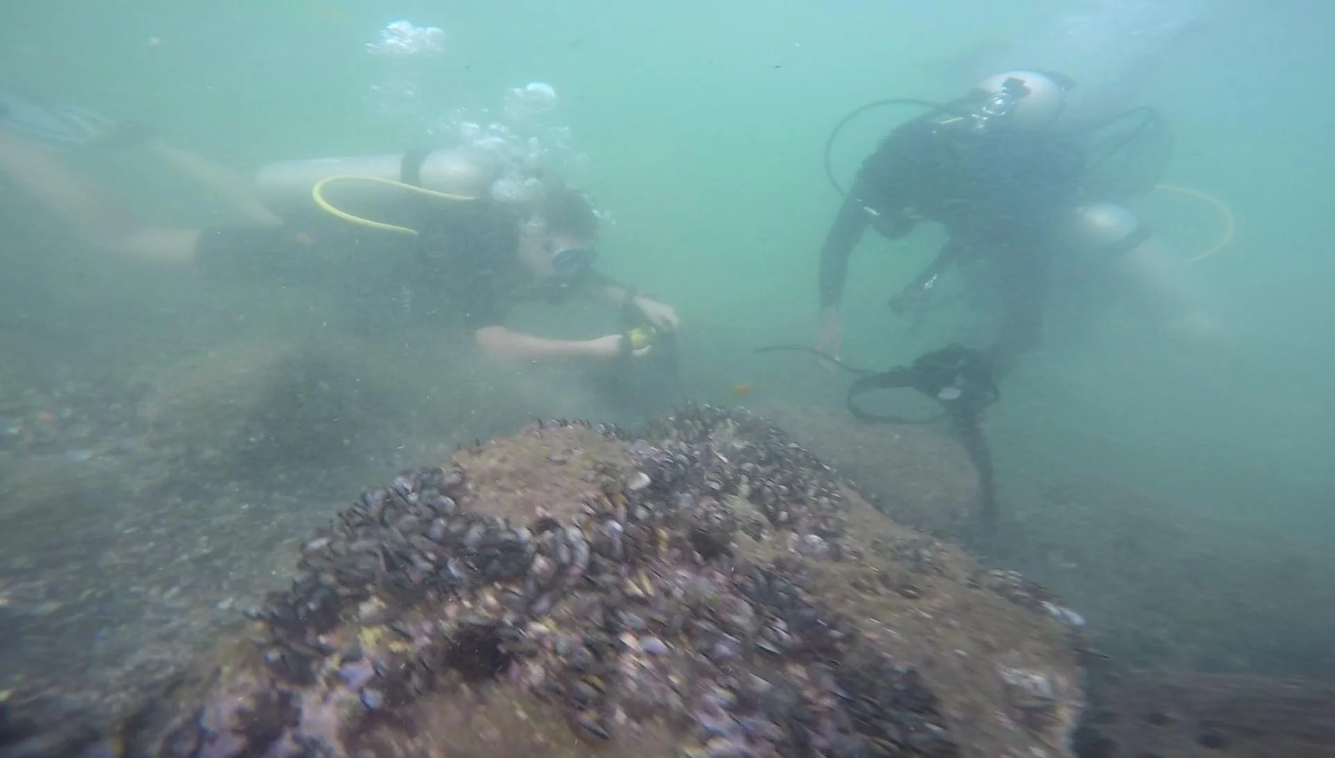 Sarah &amp; Lily (our ecotourism team) cleaning up Kovalam underwater.