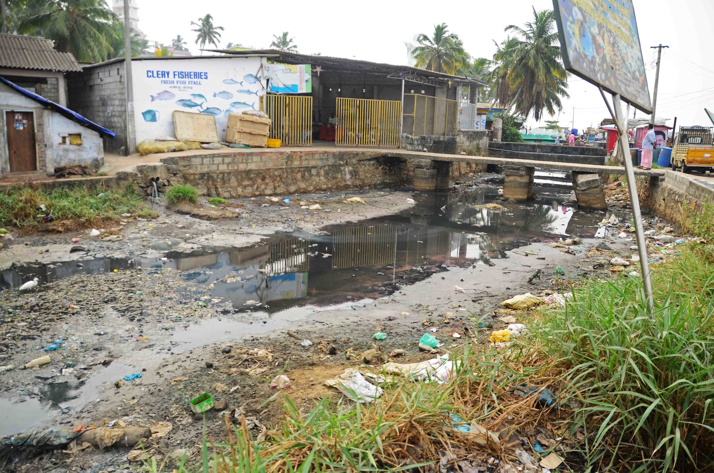 The raw sewage and waste that feeds into Vizhinjam Harbour is having devastating impacts on marine and human health in the region.