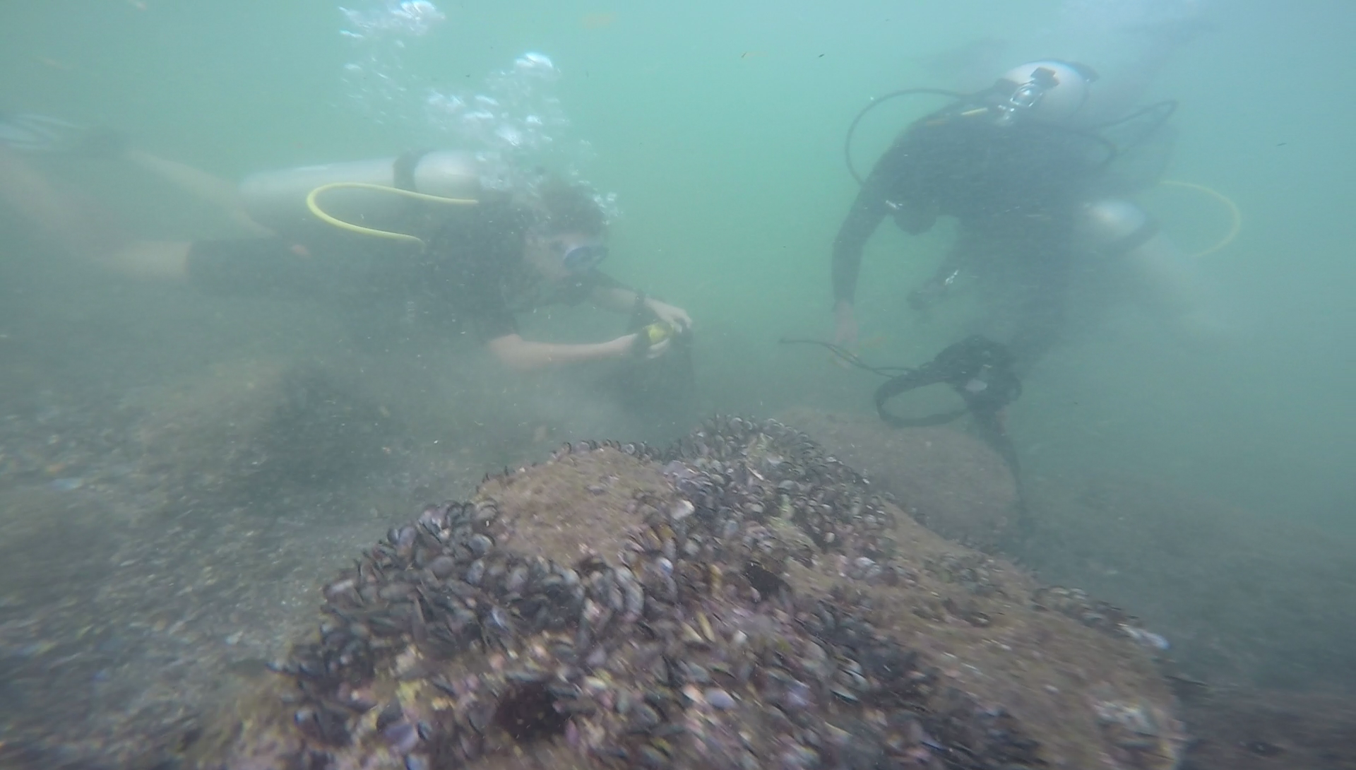 The main items we found during our underwater cleanup were fishing nets, plastic food wrapping, plastic bottles and cans.